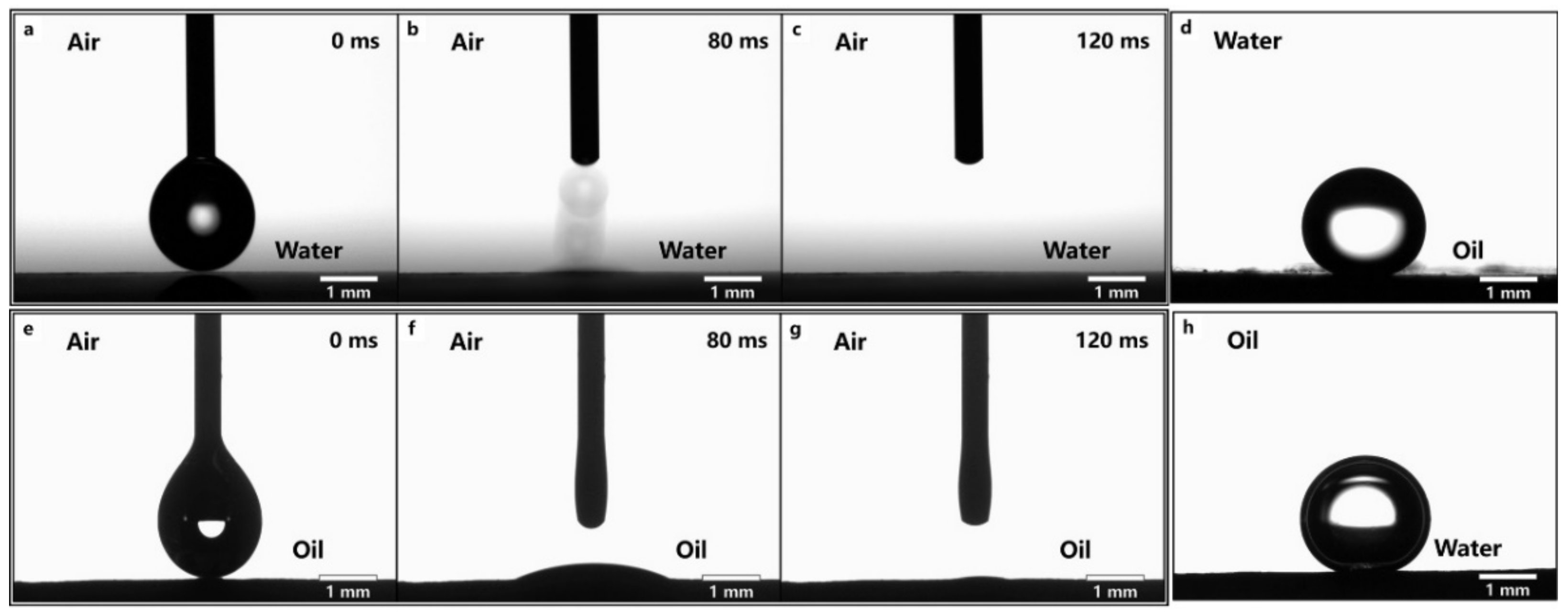 Nanomaterials 12 00740 g005