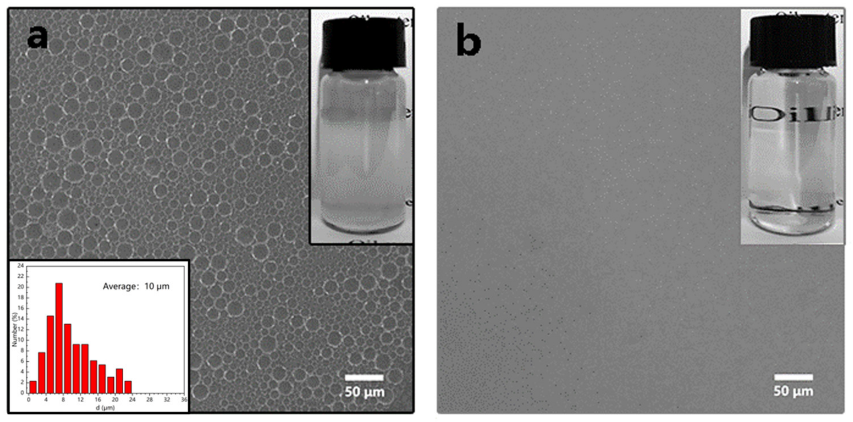 Nanomaterials 12 00740 g008
