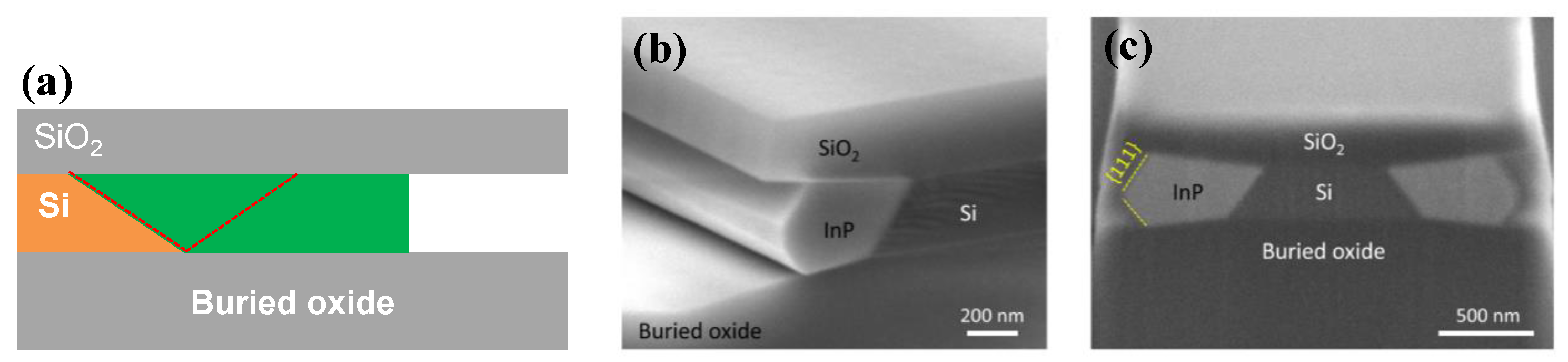 Nanomaterials 12 00741 g032 Nanomaterials 12 00741 g032