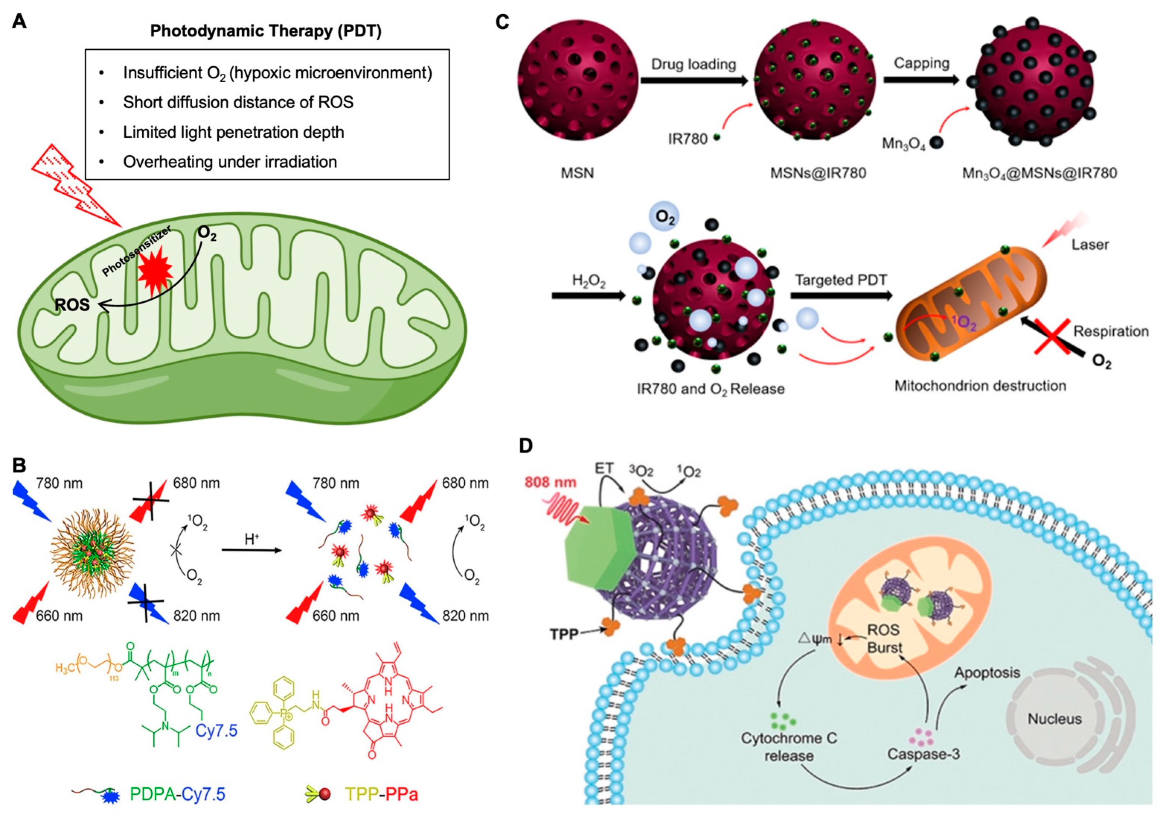 Nanomaterials 12 00743 g002 Nanomaterials 12 00743 g002