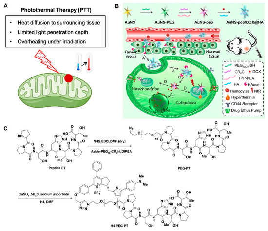 Nanomaterials Free Full Text Recent Advancements In Mitochondria Targeted Nanoparticle Drug Delivery For Cancer Therapy Html