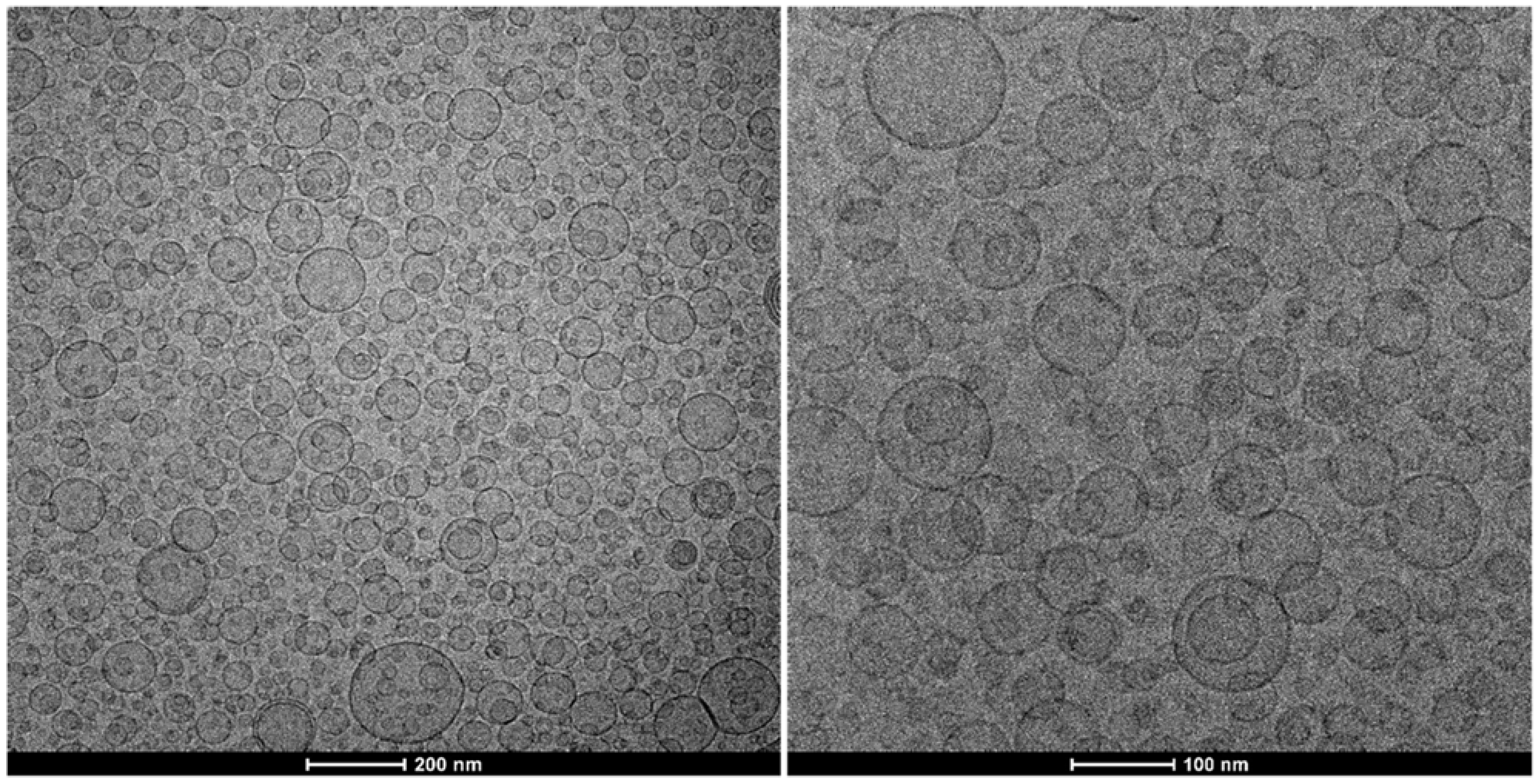 Nanomaterials 12 00746 g002 550