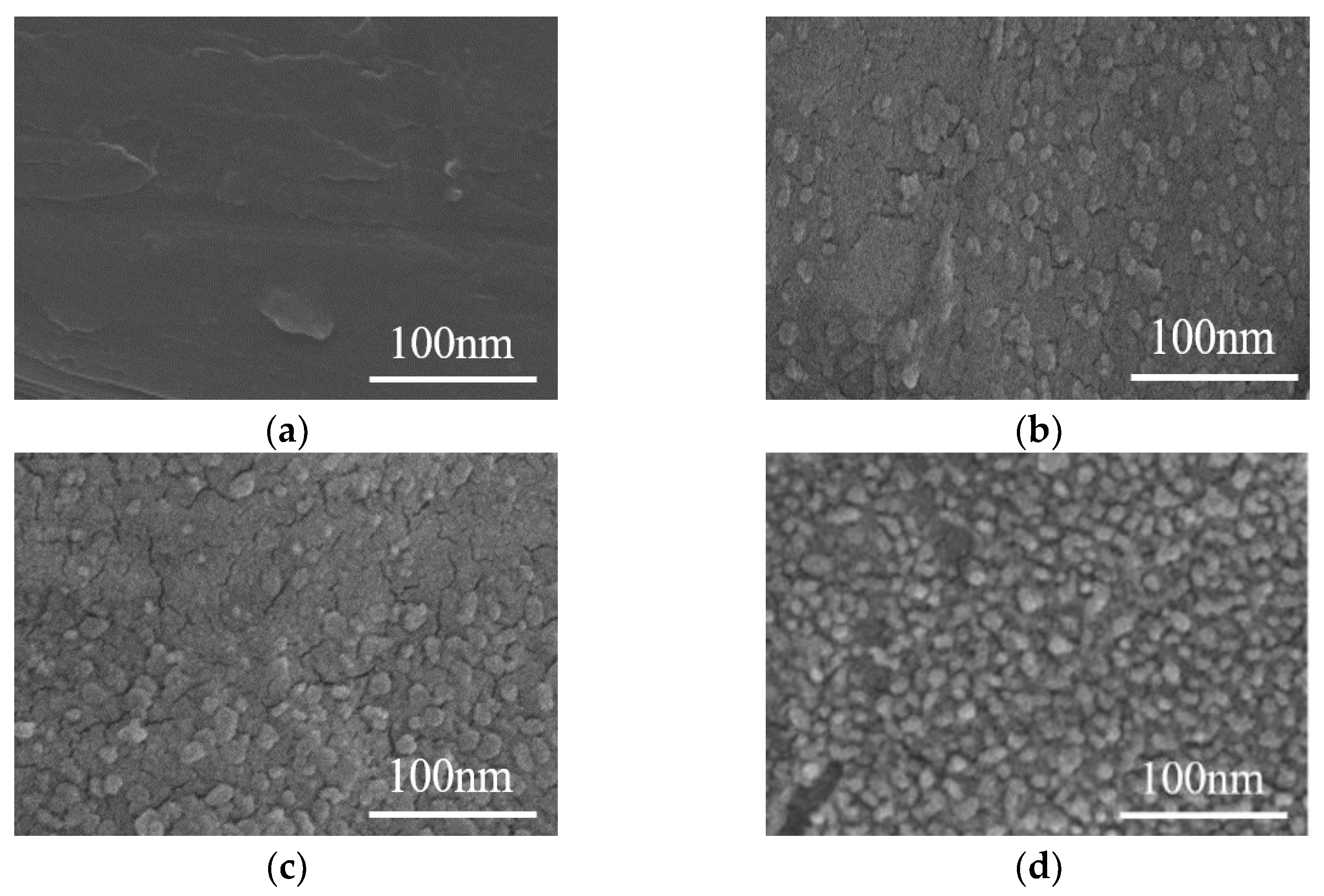 Nanomaterials 12 00748 g003