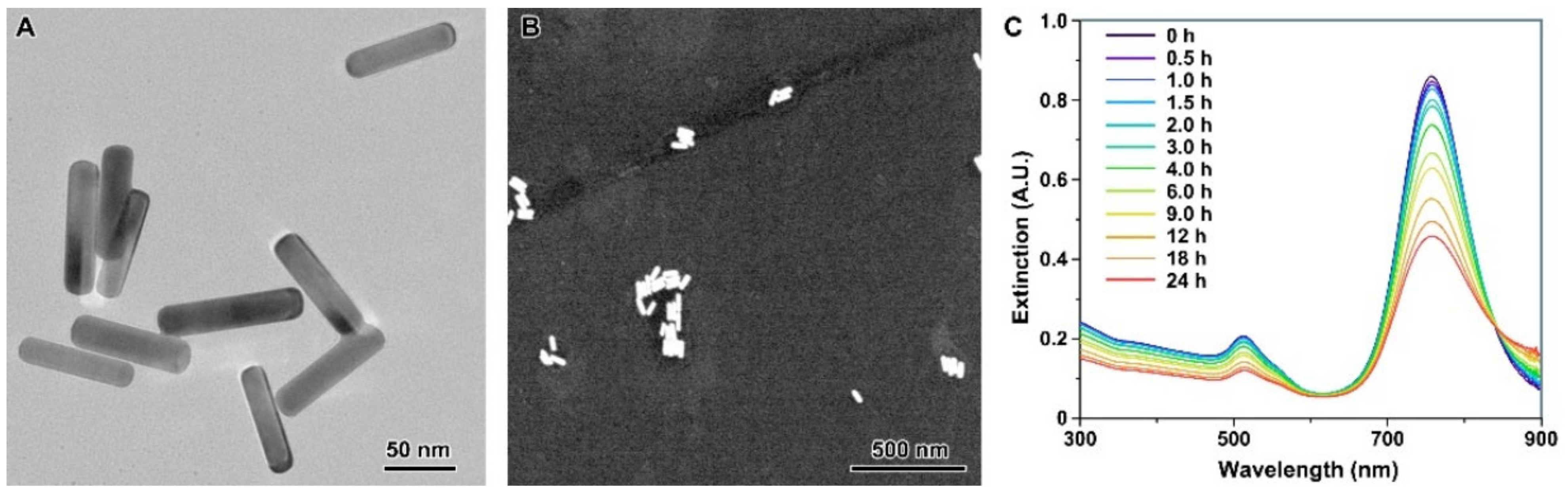 Nanomaterials 12 00749 g001