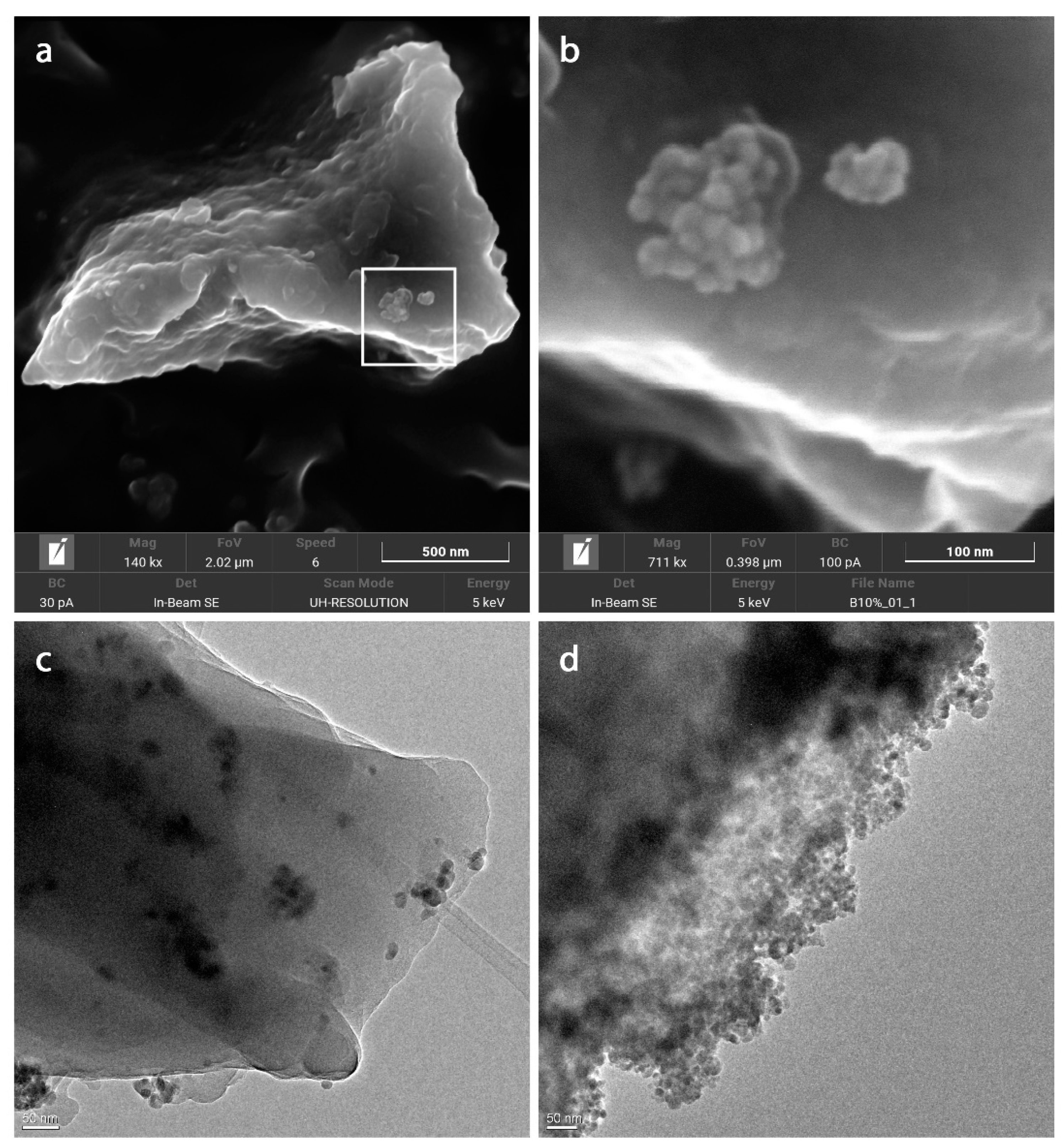 Nanomaterials 12 00754 g003 550