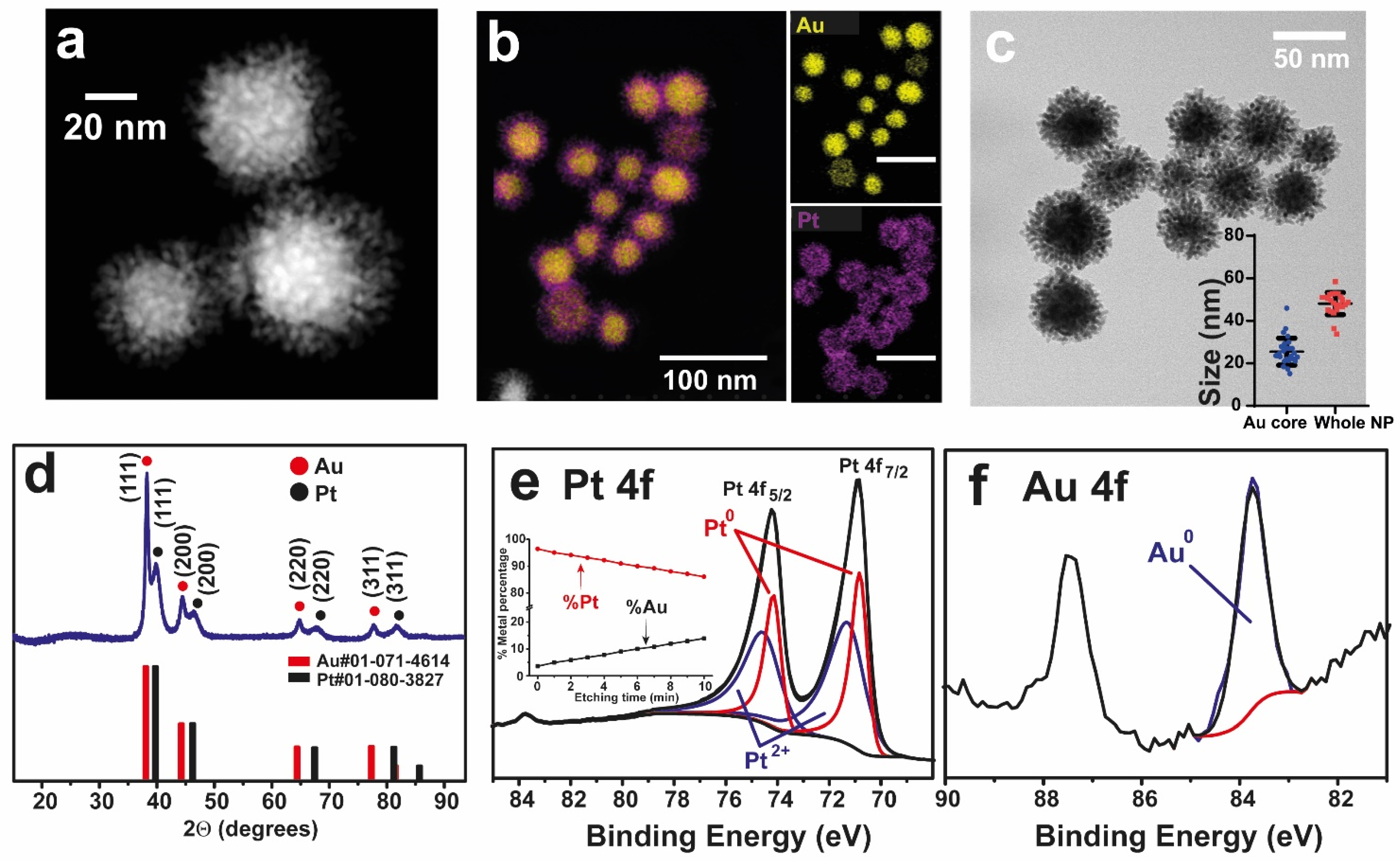 Nanomaterials 12 00755 g001