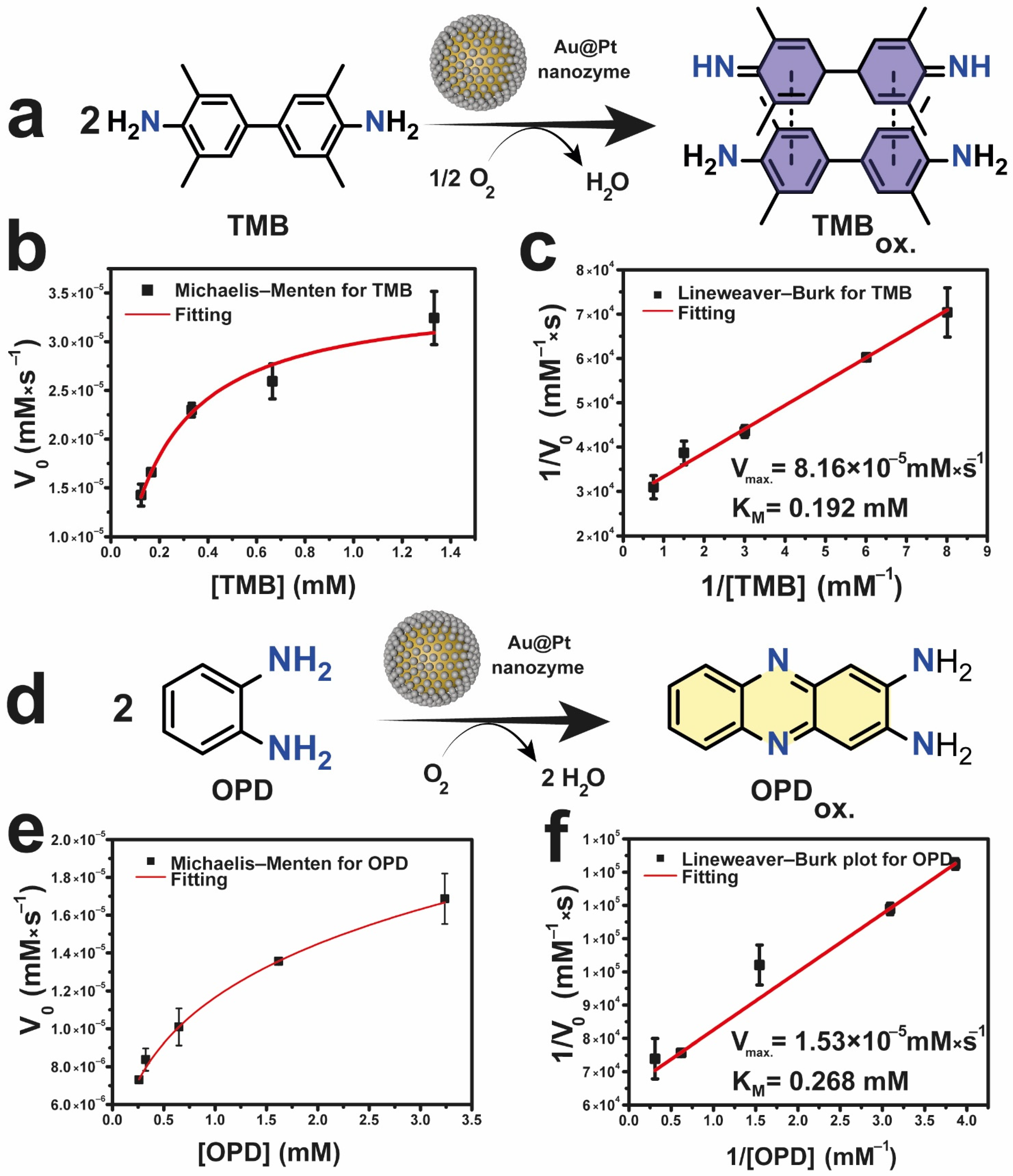Nanomaterials 12 00755 g002