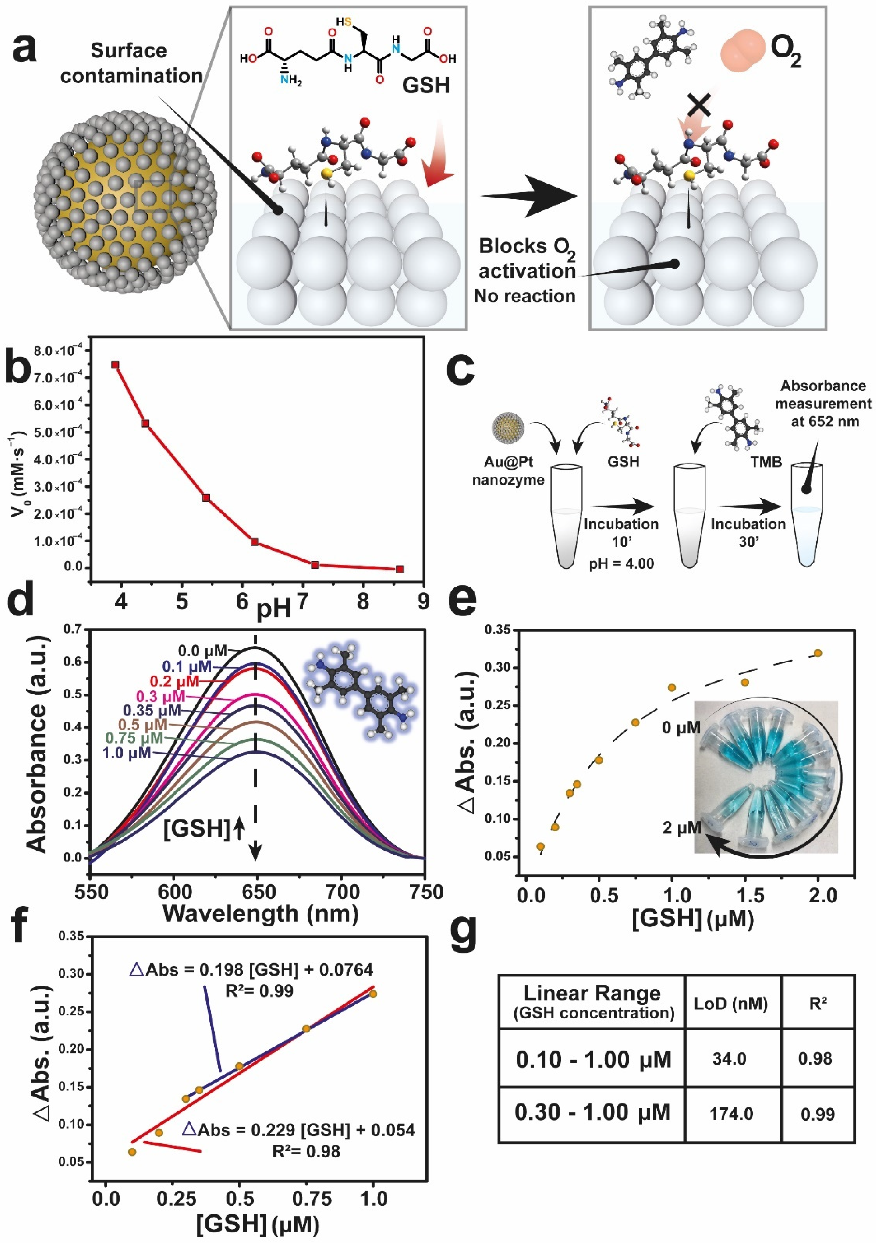 Nanomaterials 12 00755 g003