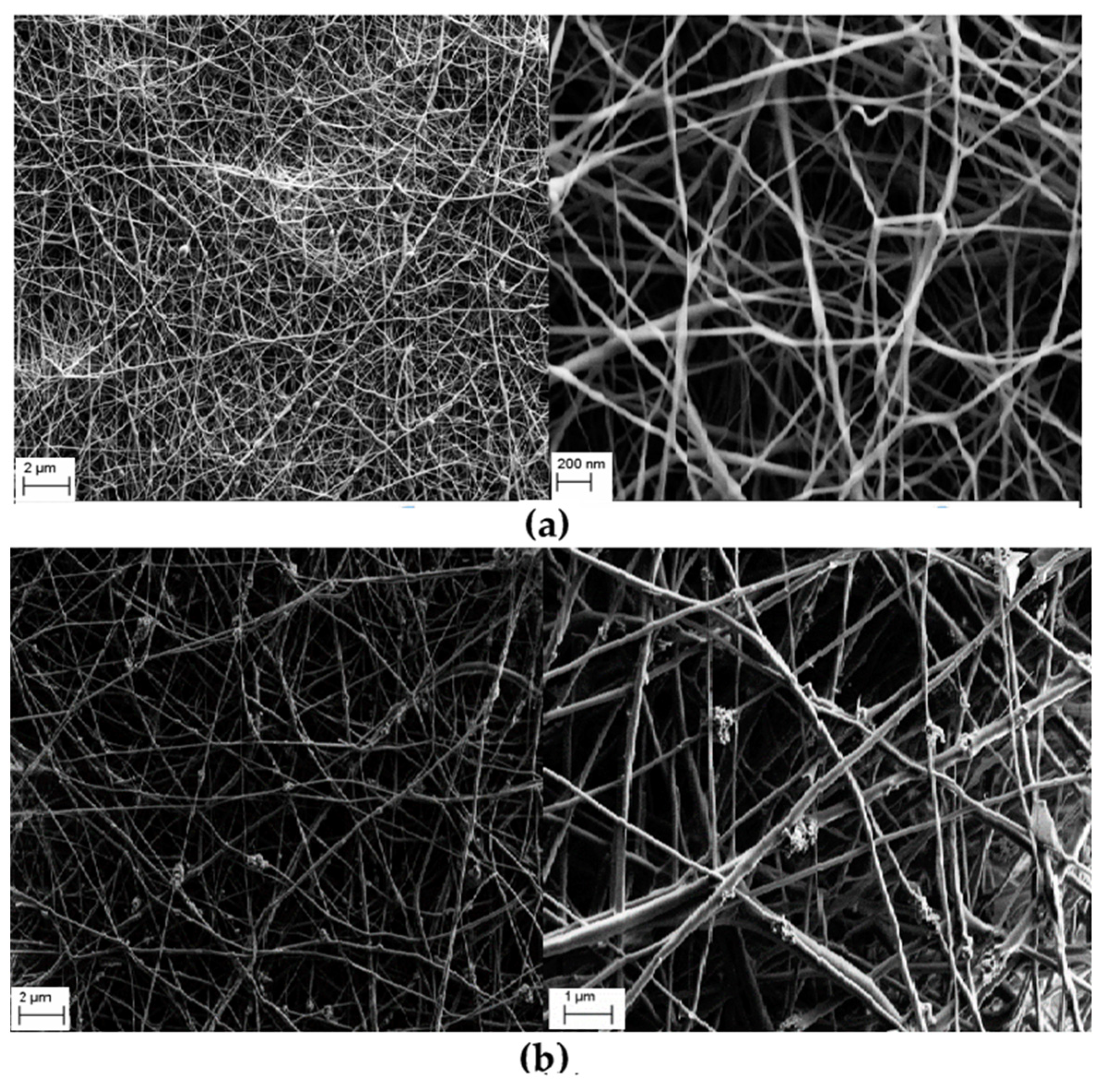 Nanomaterials 12 00756 g002 550
