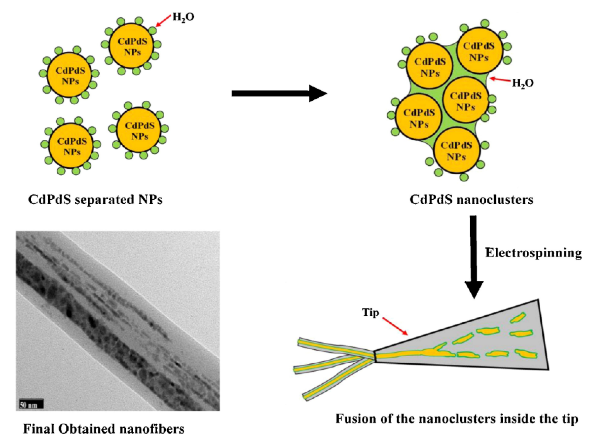 Nanomaterials 12 00756 g004 550