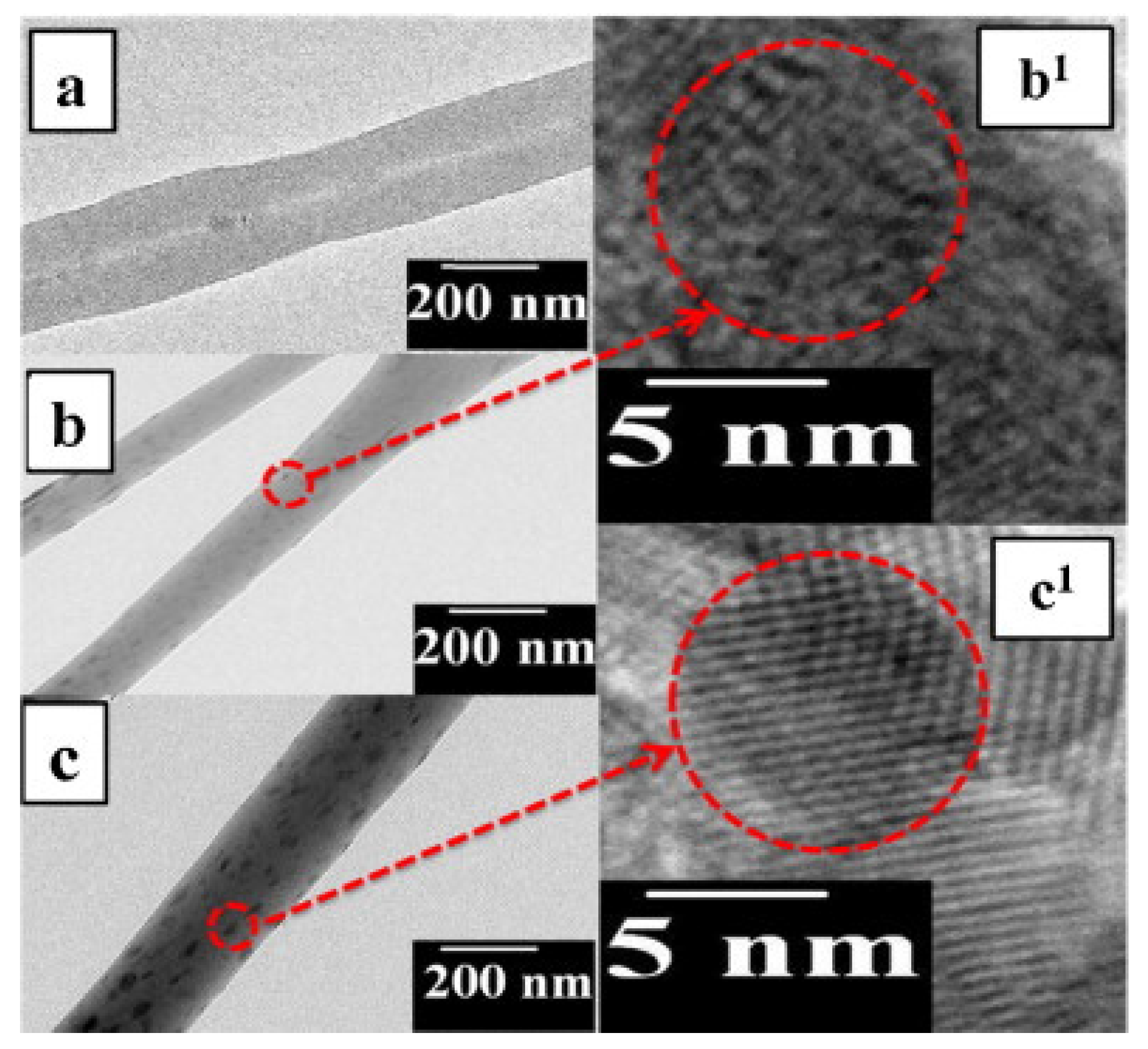 Nanomaterials 12 00756 g005 550