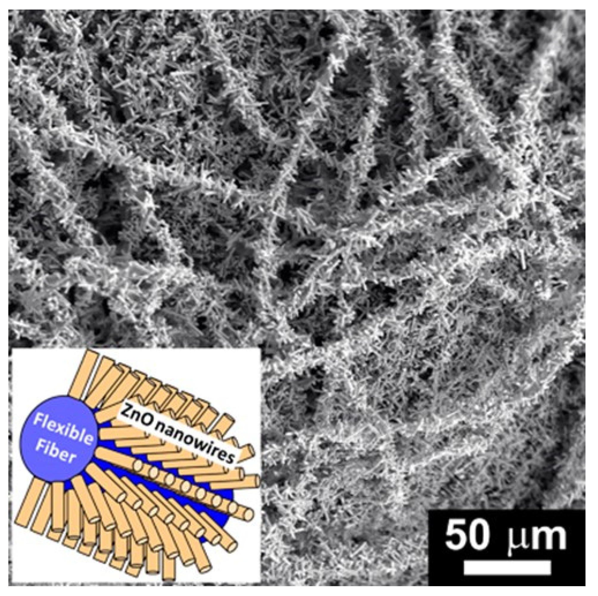 Nanomaterials 12 00756 g009 550