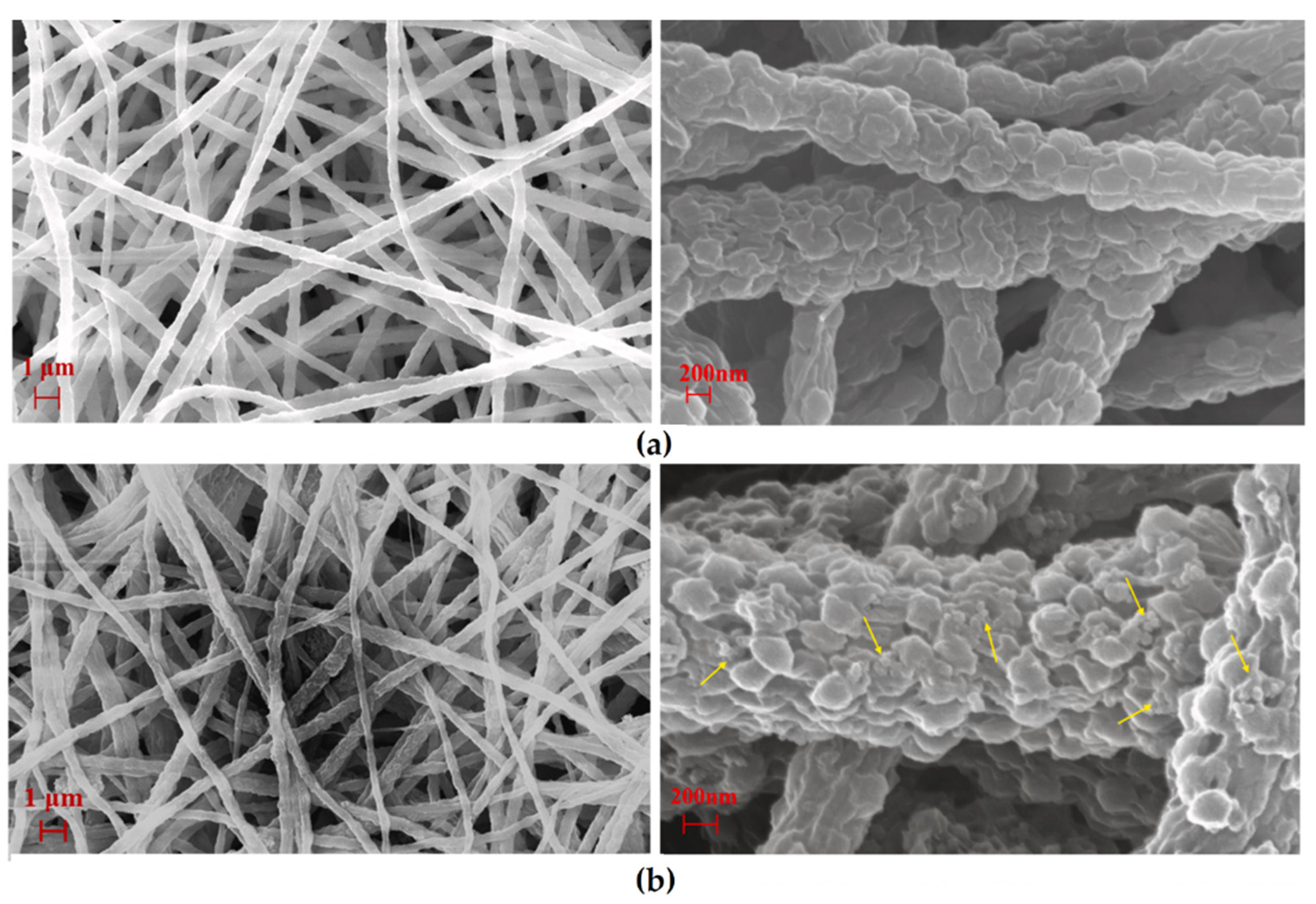 Nanomaterials 12 00756 g014 550
