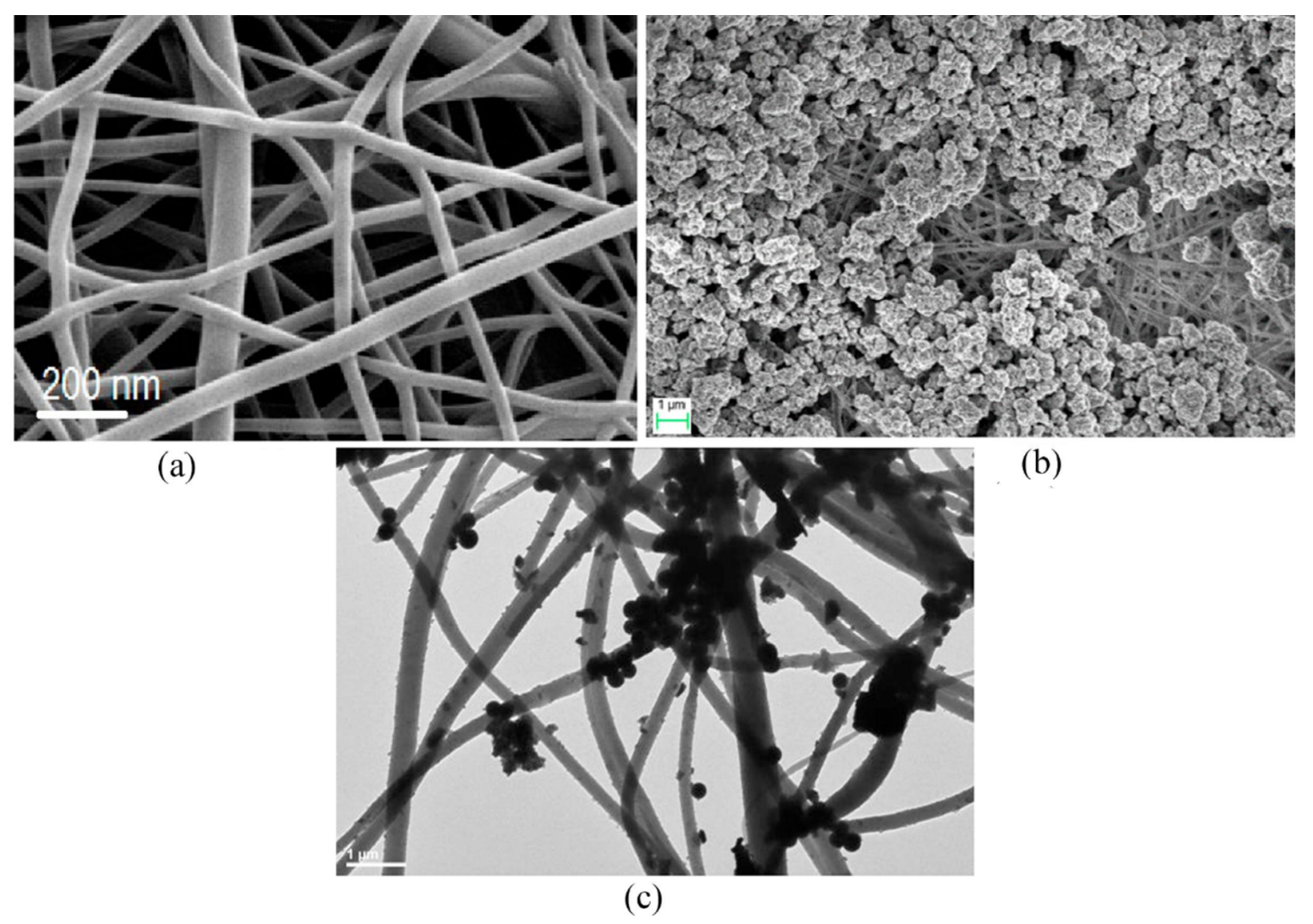 Nanomaterials 12 00756 g015 550
