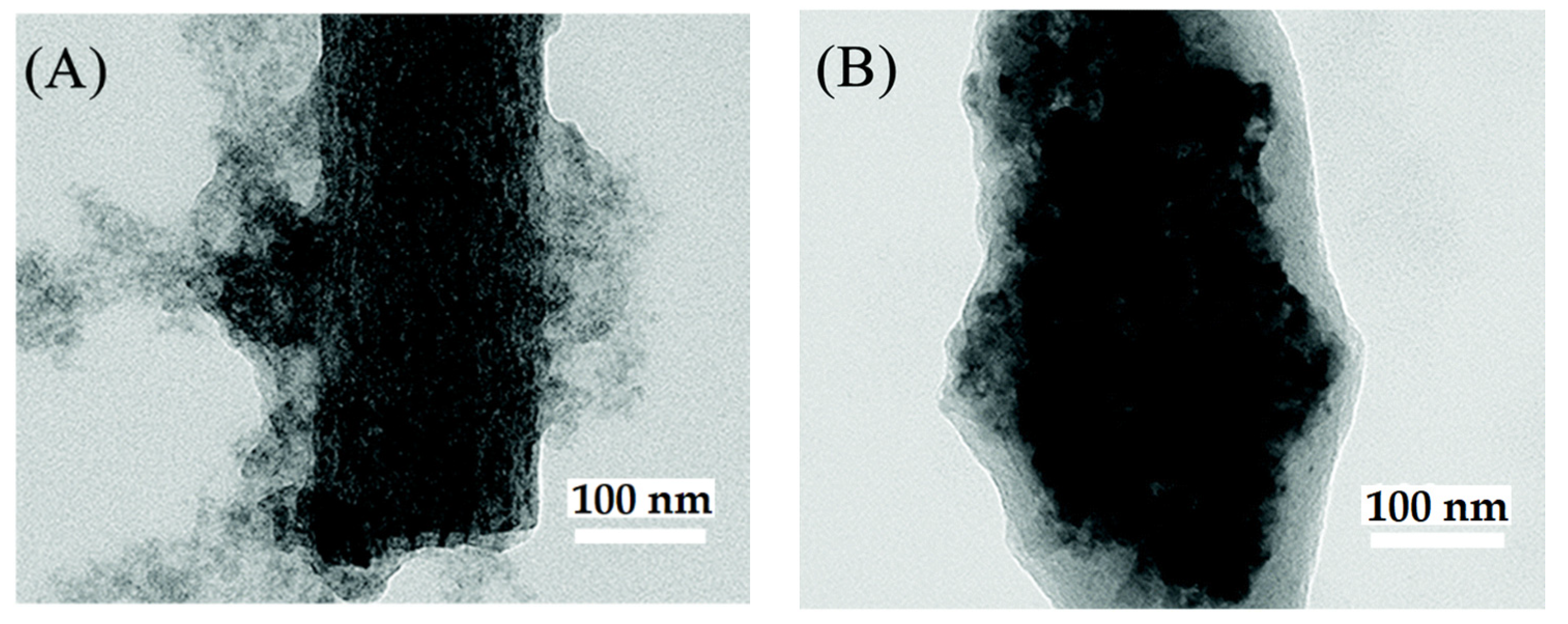 Nanomaterials 12 00756 g016 550
