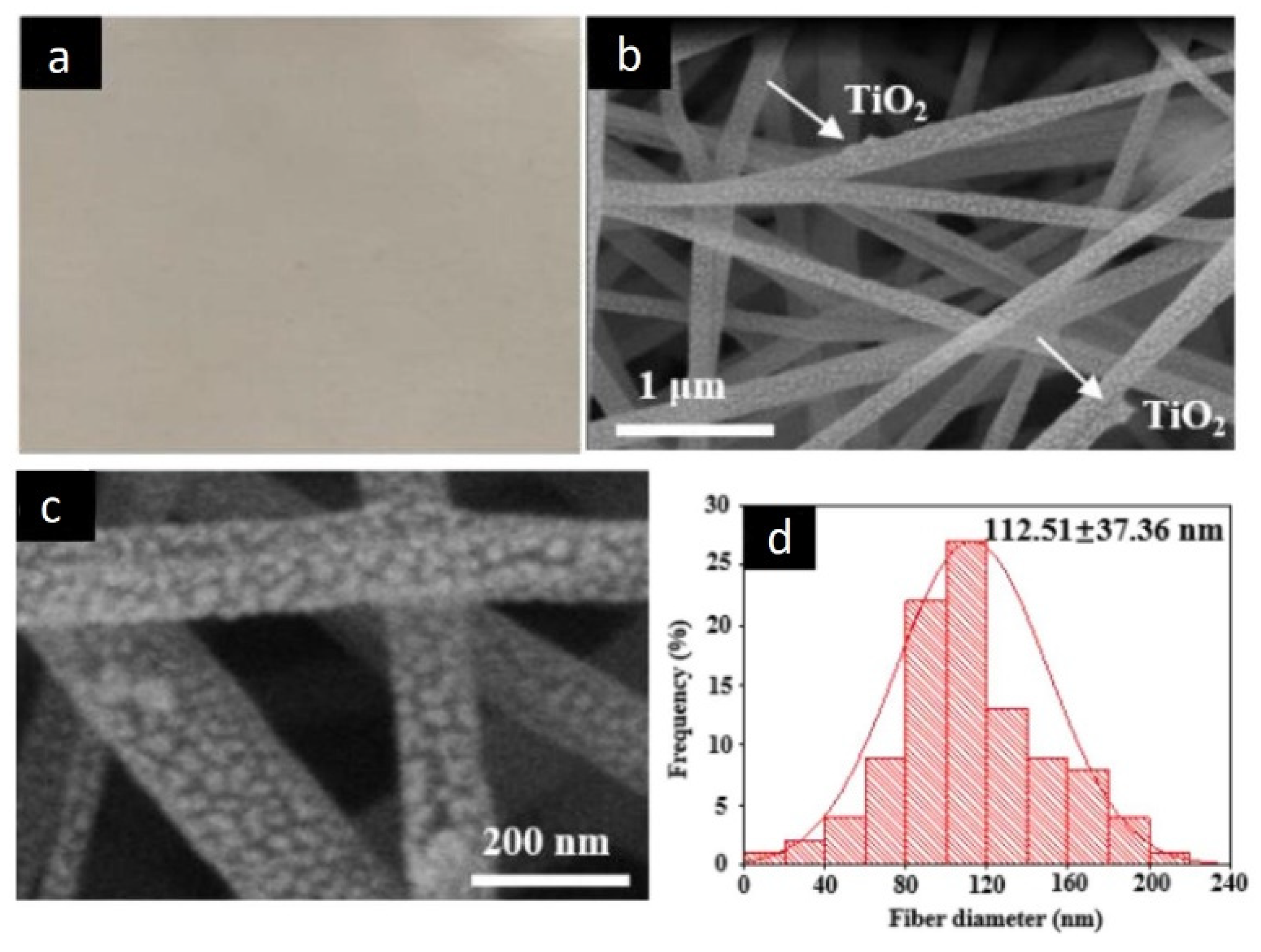Nanomaterials 12 00756 g017 550