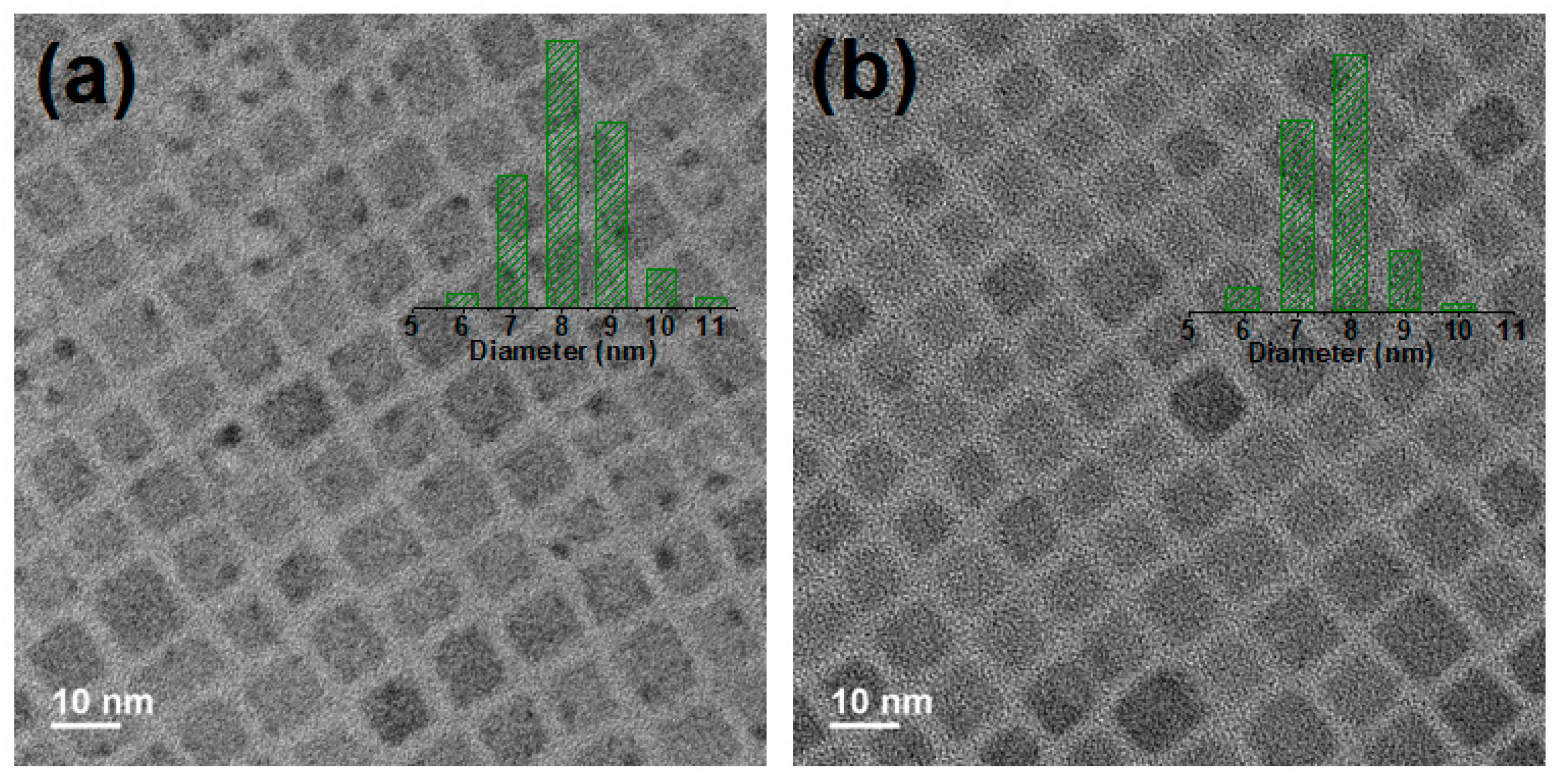 Nanomaterials 12 00759 g001