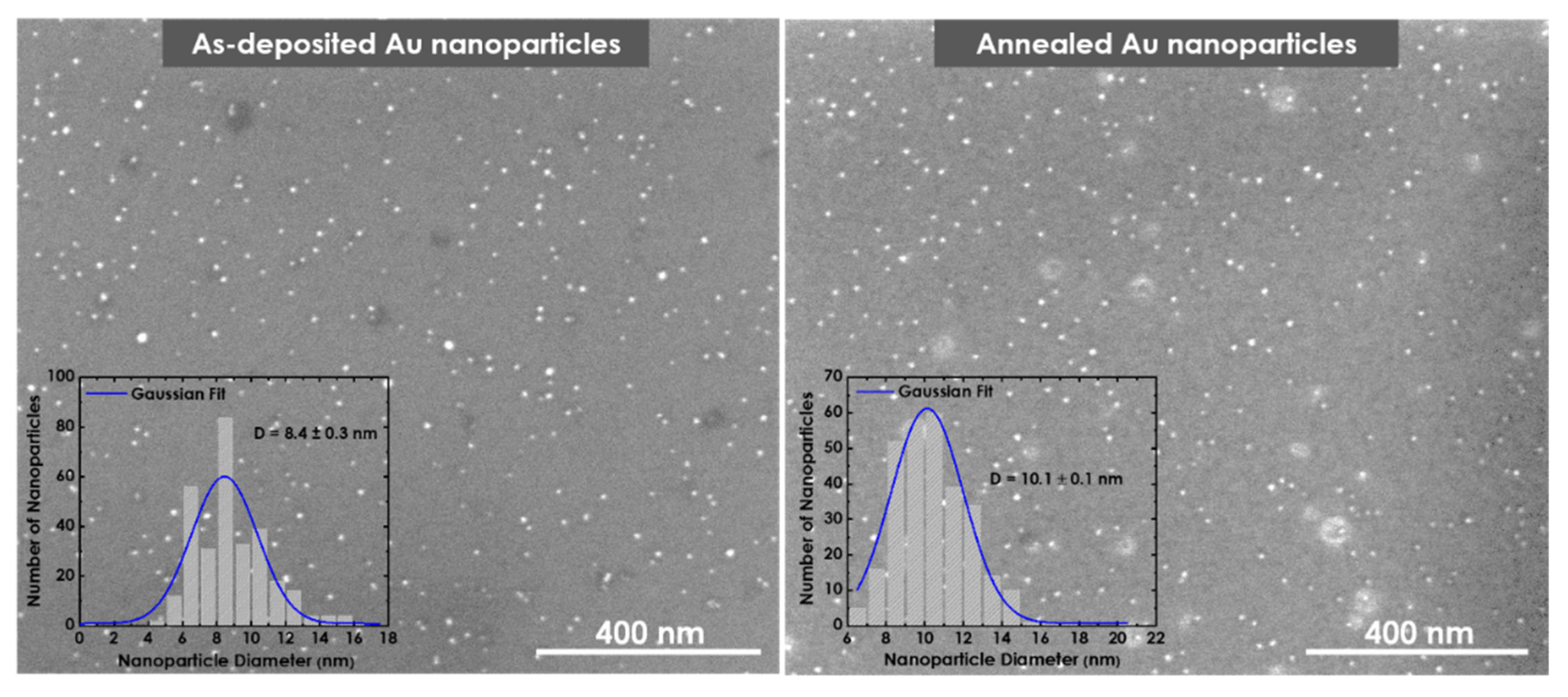 Nanomaterials 12 00763 g007 550