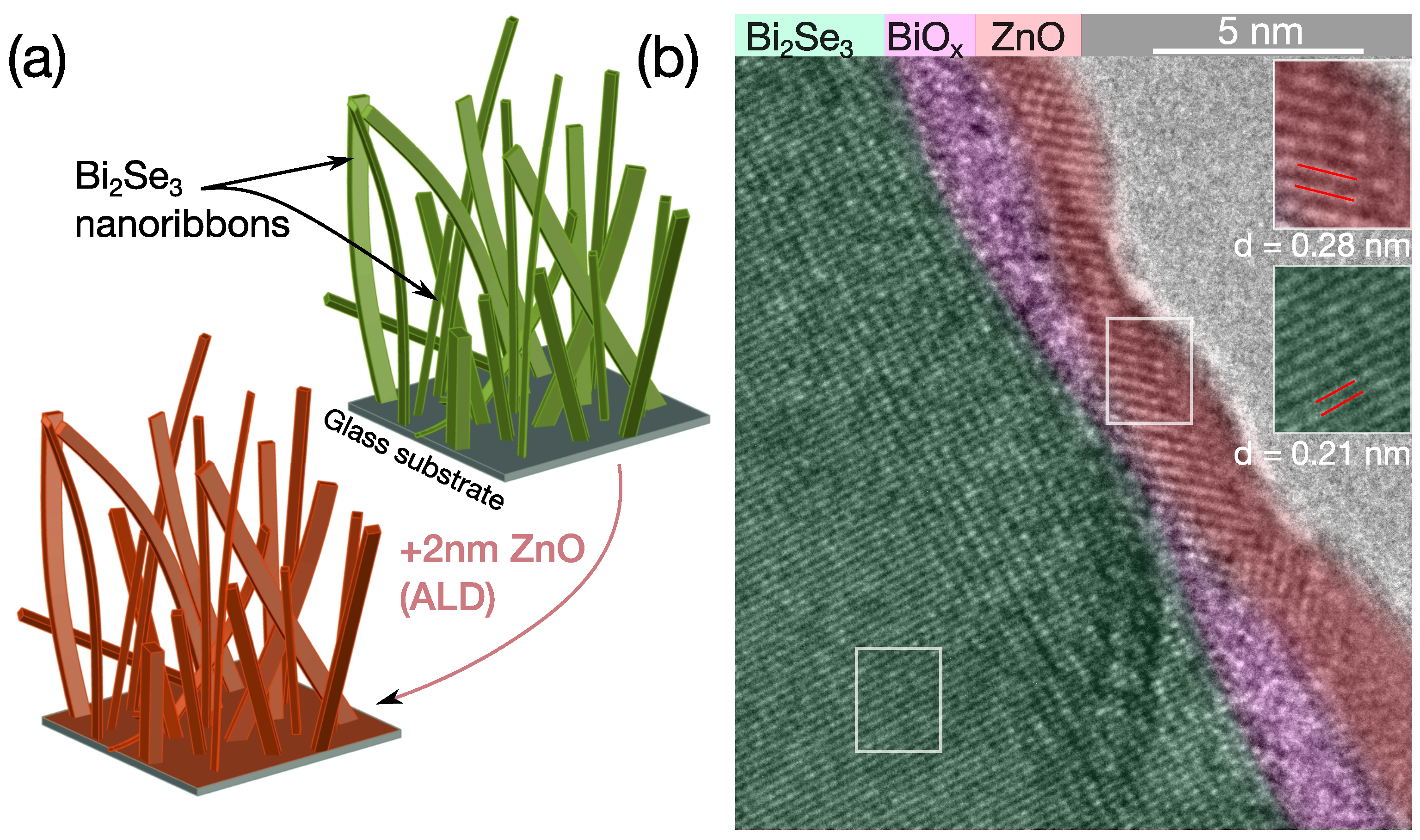 Nanomaterials 12 00768 g001