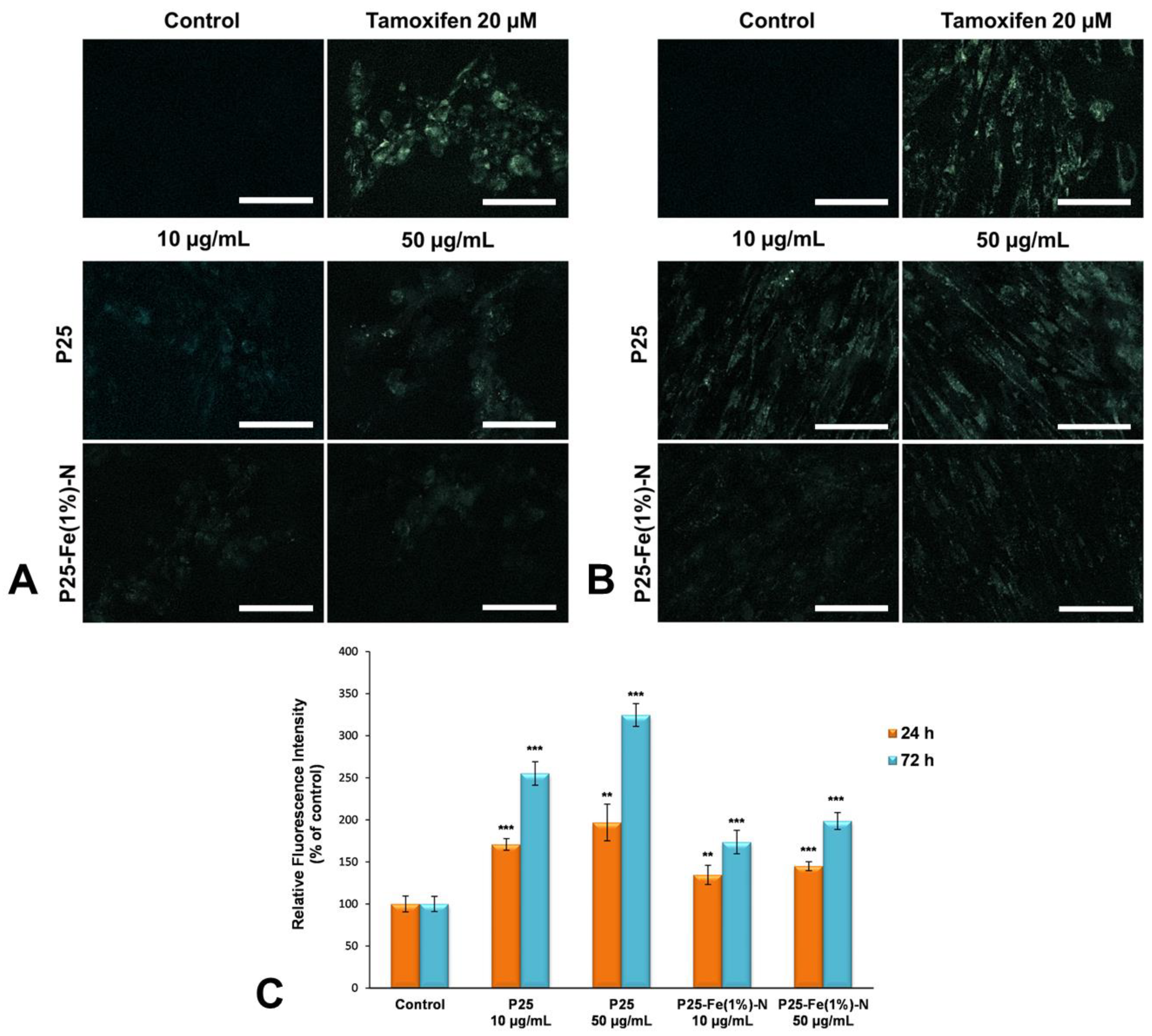 Nanomaterials 12 00770 g007 Nanomaterials 12 00770 g007