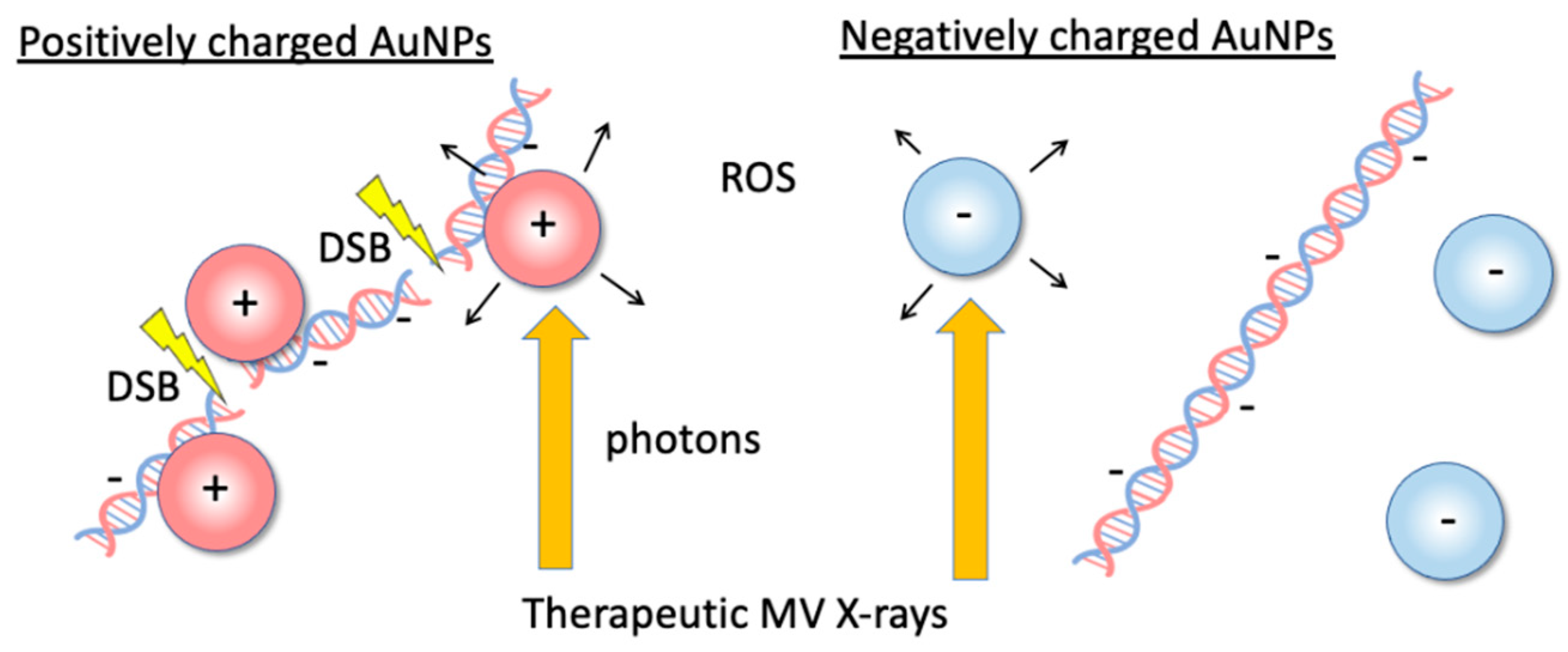 Nanomaterials 12 00771 g001