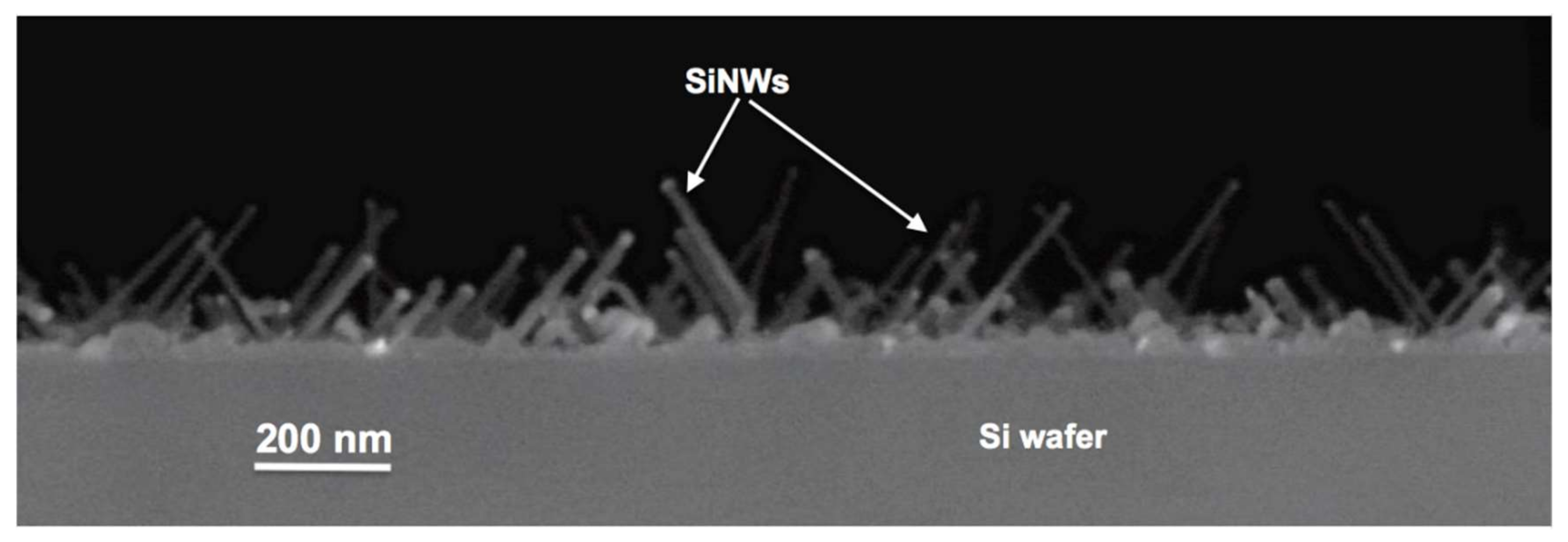 Nanomaterials 12 00772 g001