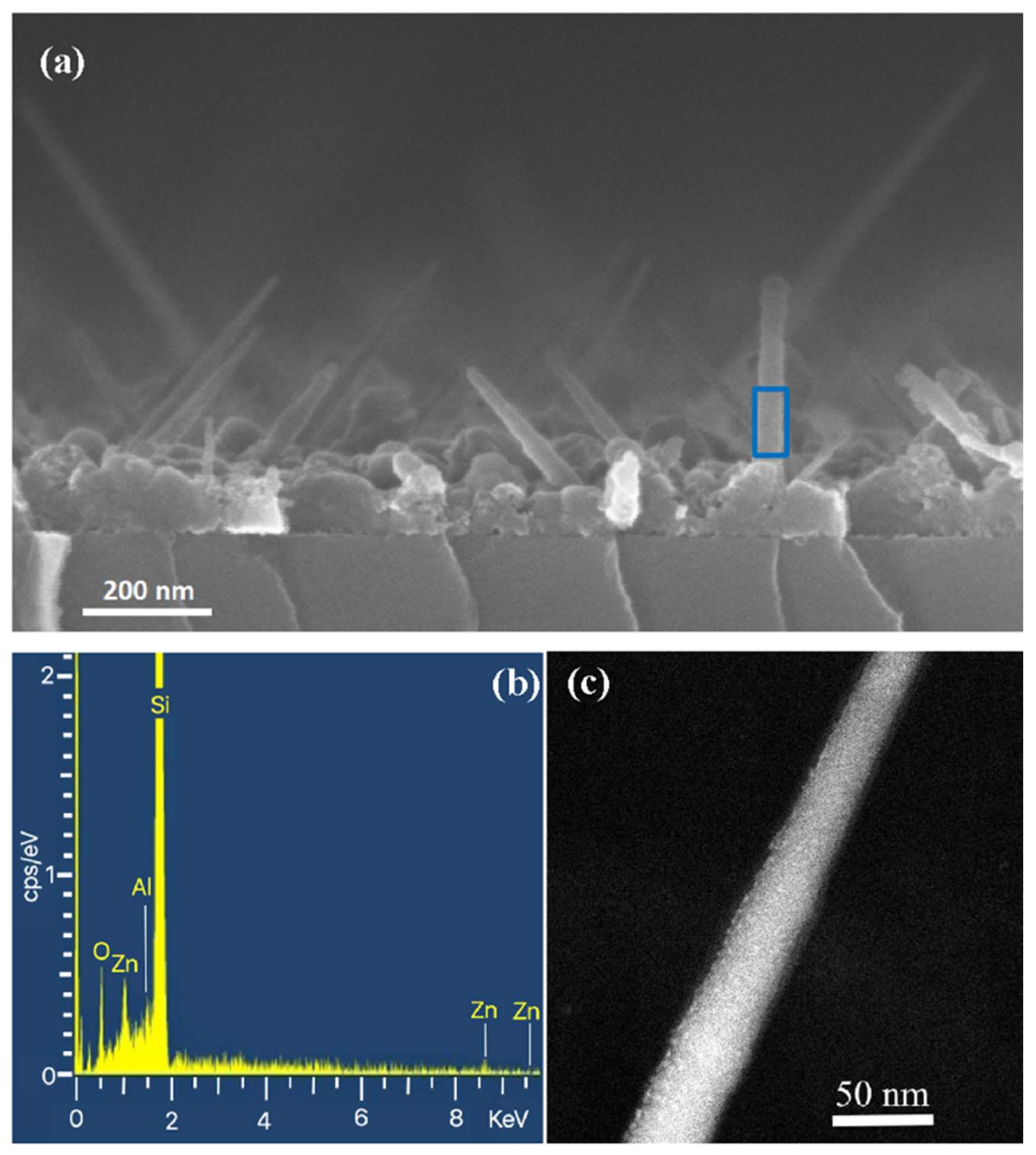 Nanomaterials 12 00772 g004