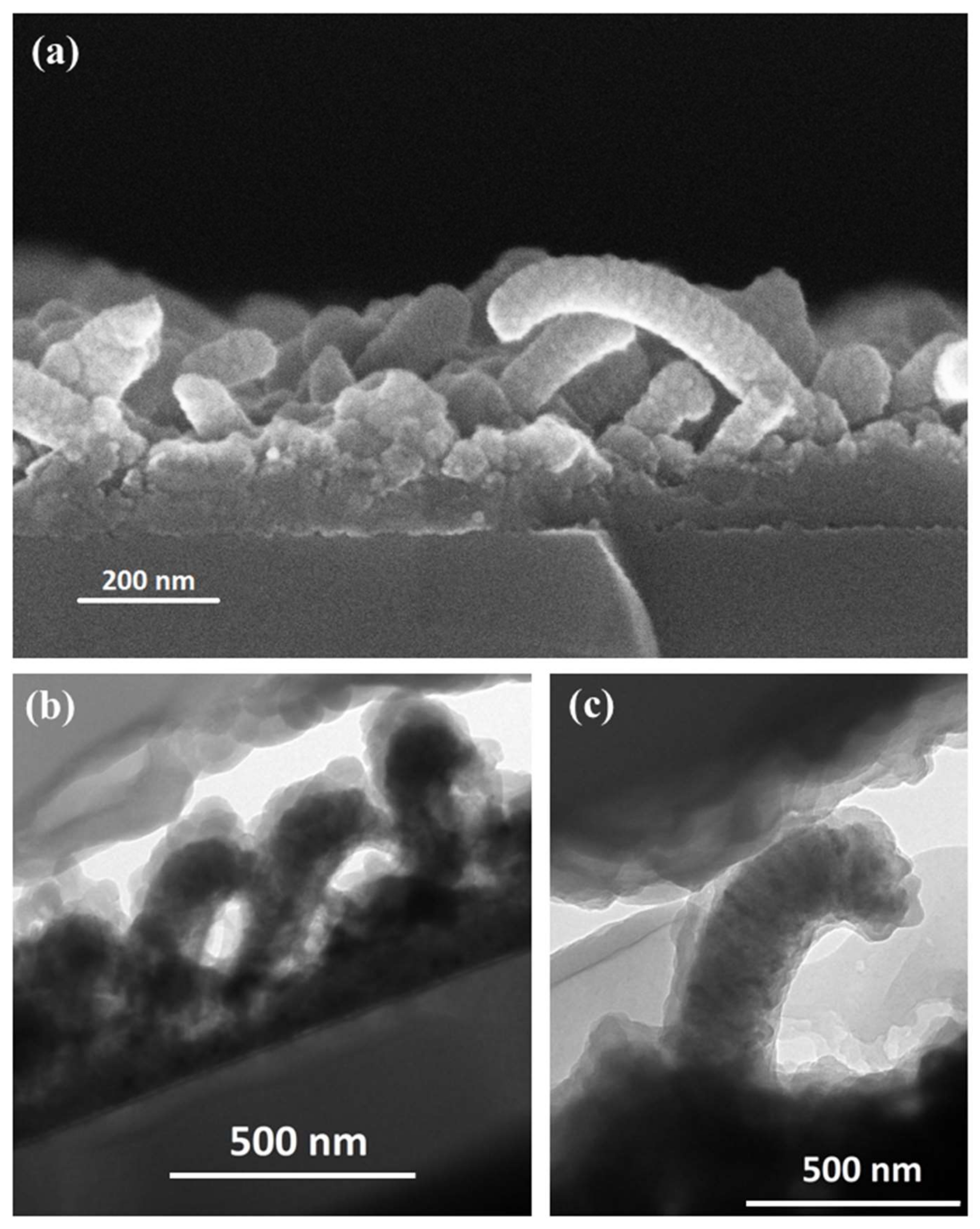 Nanomaterials 12 00772 g005