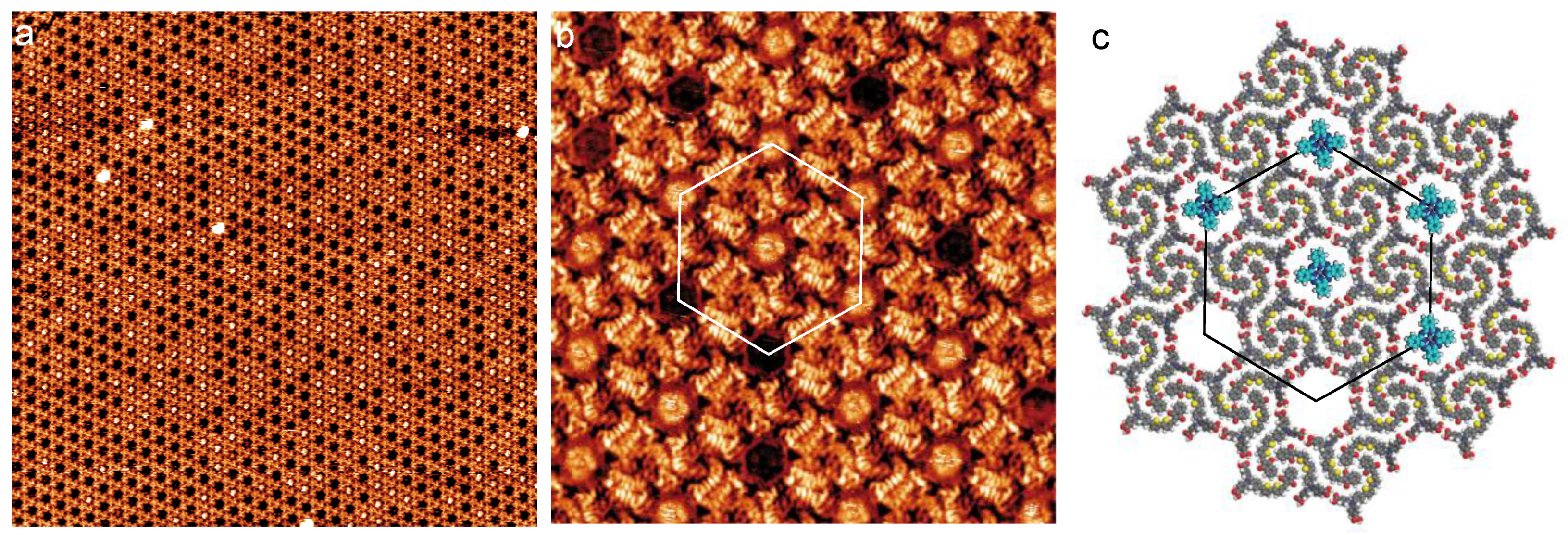 Nanomaterials 12 00775 g005