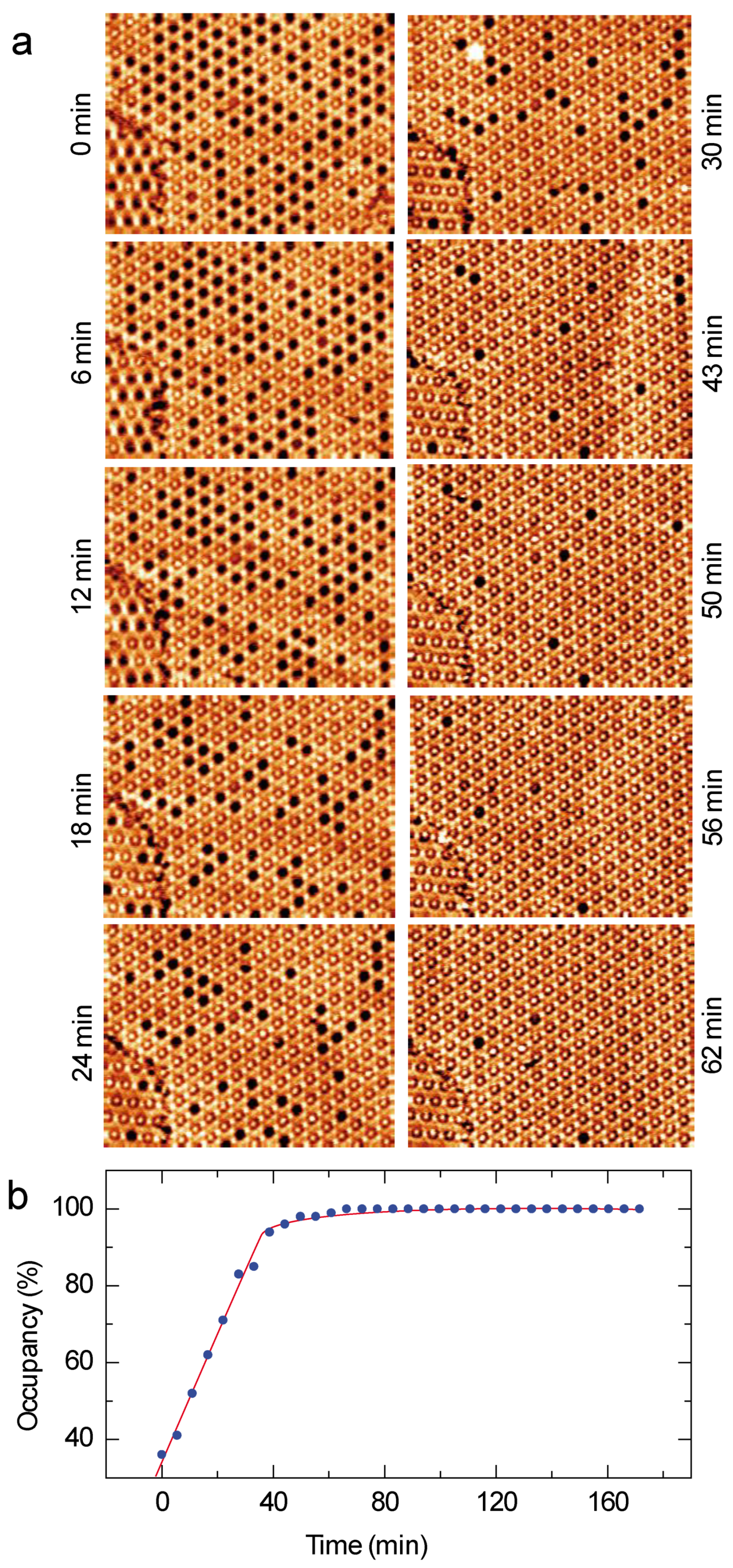 Nanomaterials 12 00775 g006