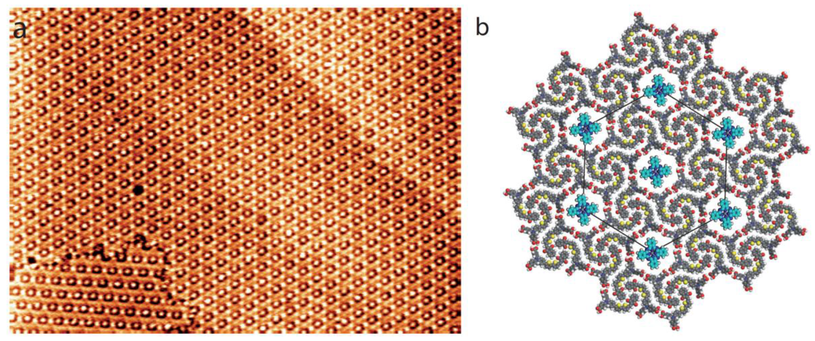 Nanomaterials 12 00775 g007