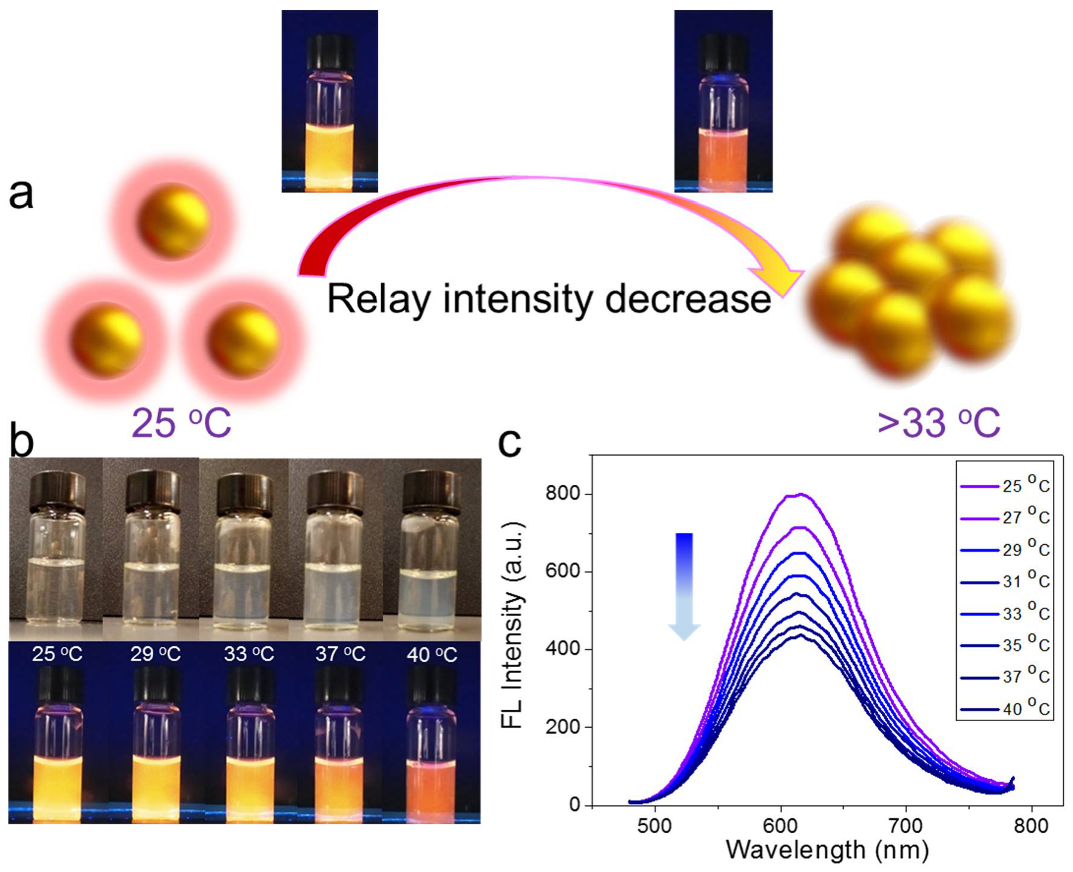 Nanomaterials 12 00777 g003