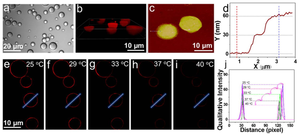 Nanomaterials 12 00777 g004