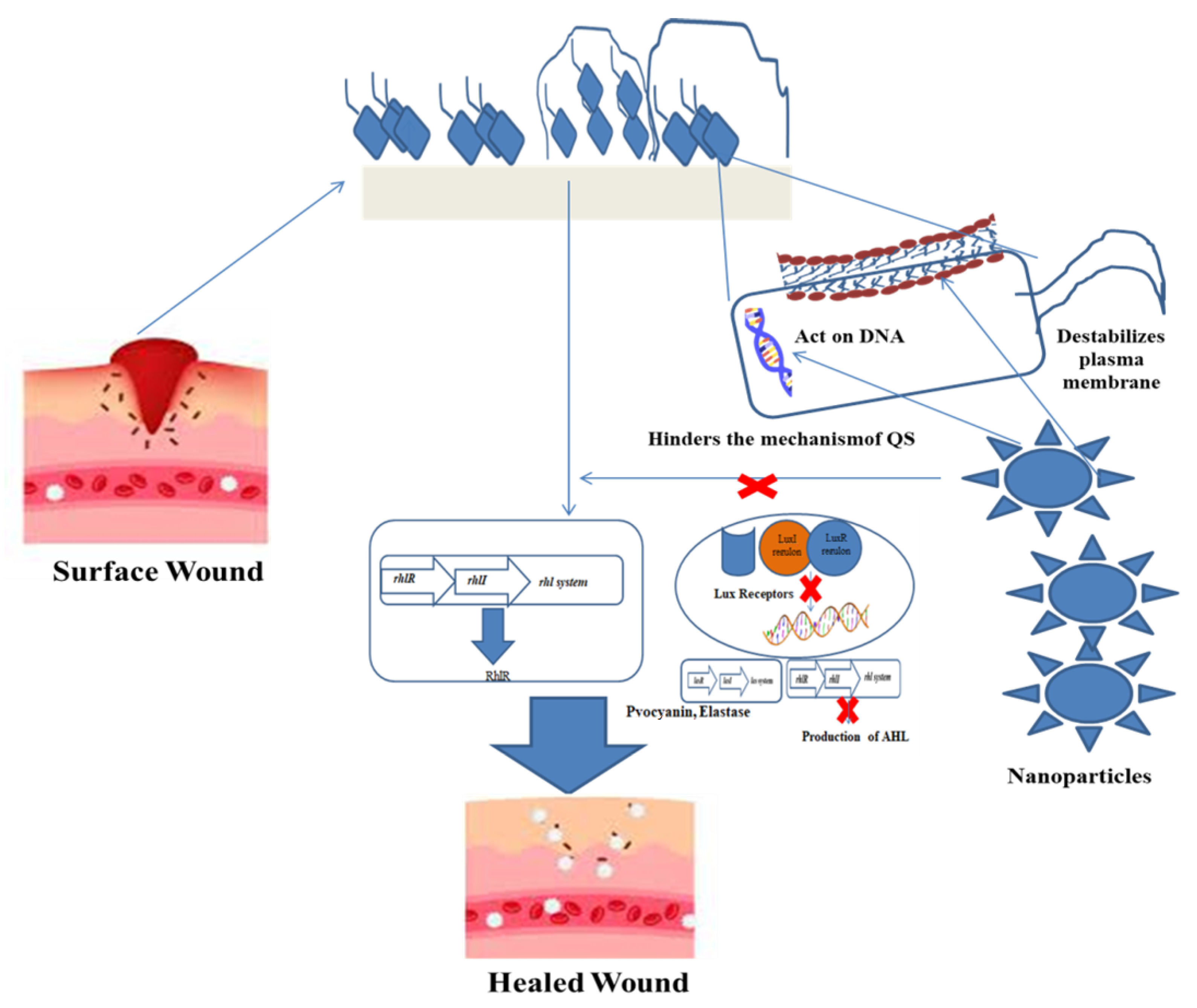 Nanomaterials 12 00778 g002 550