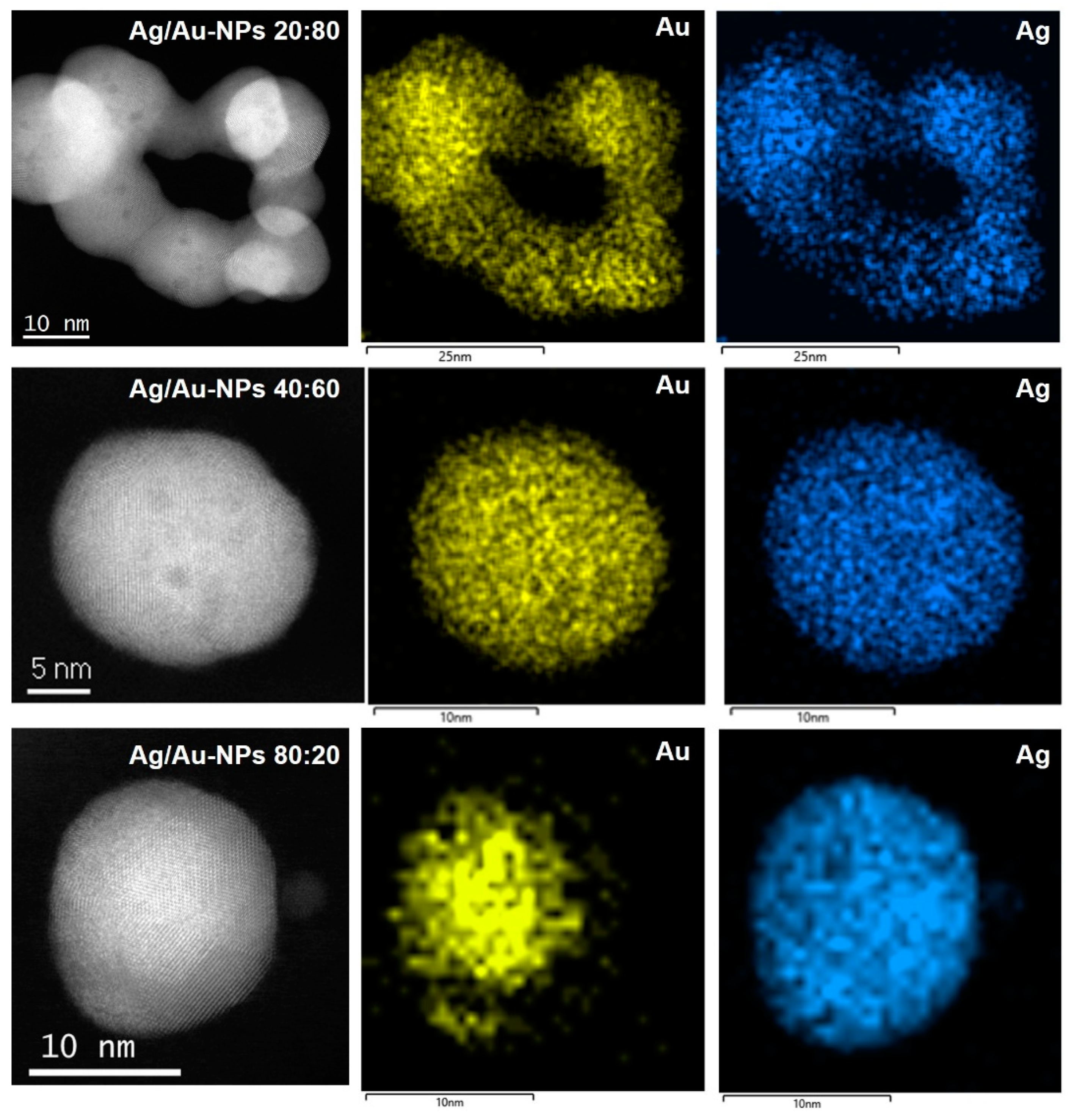 Nanomaterials 12 00779 g006