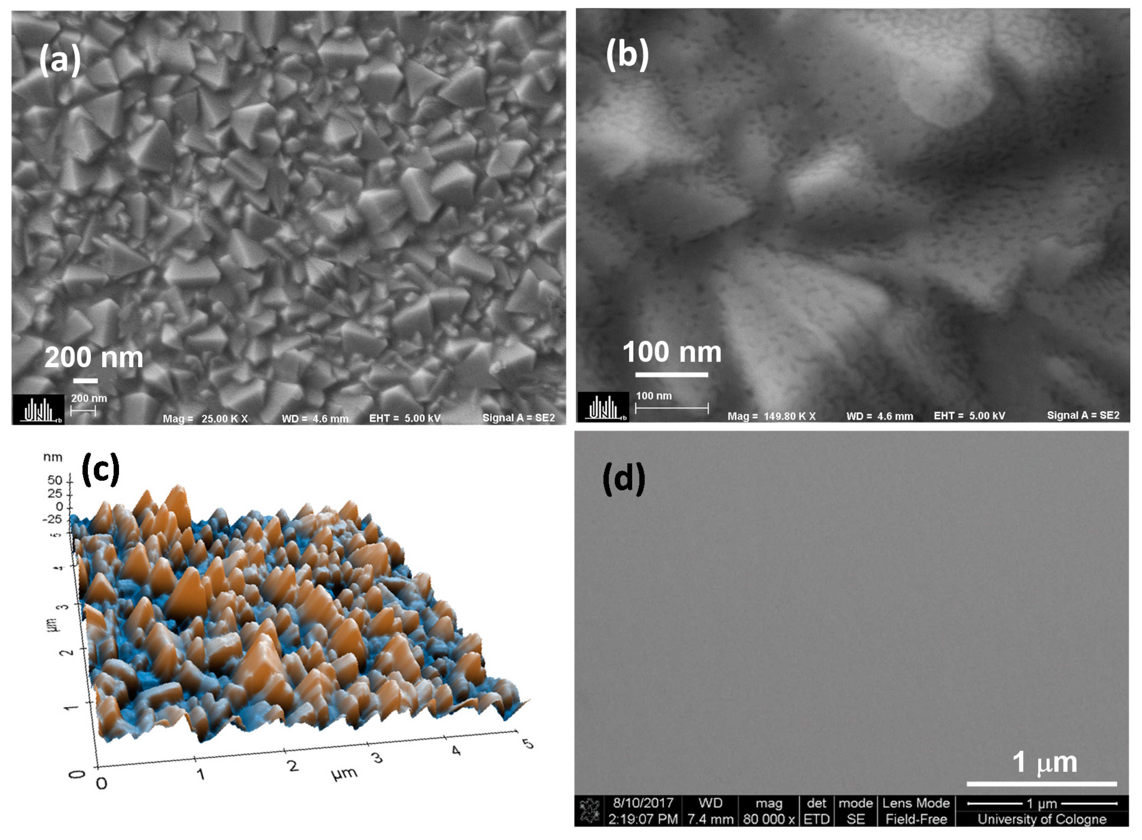 Nanomaterials 12 00780 g001