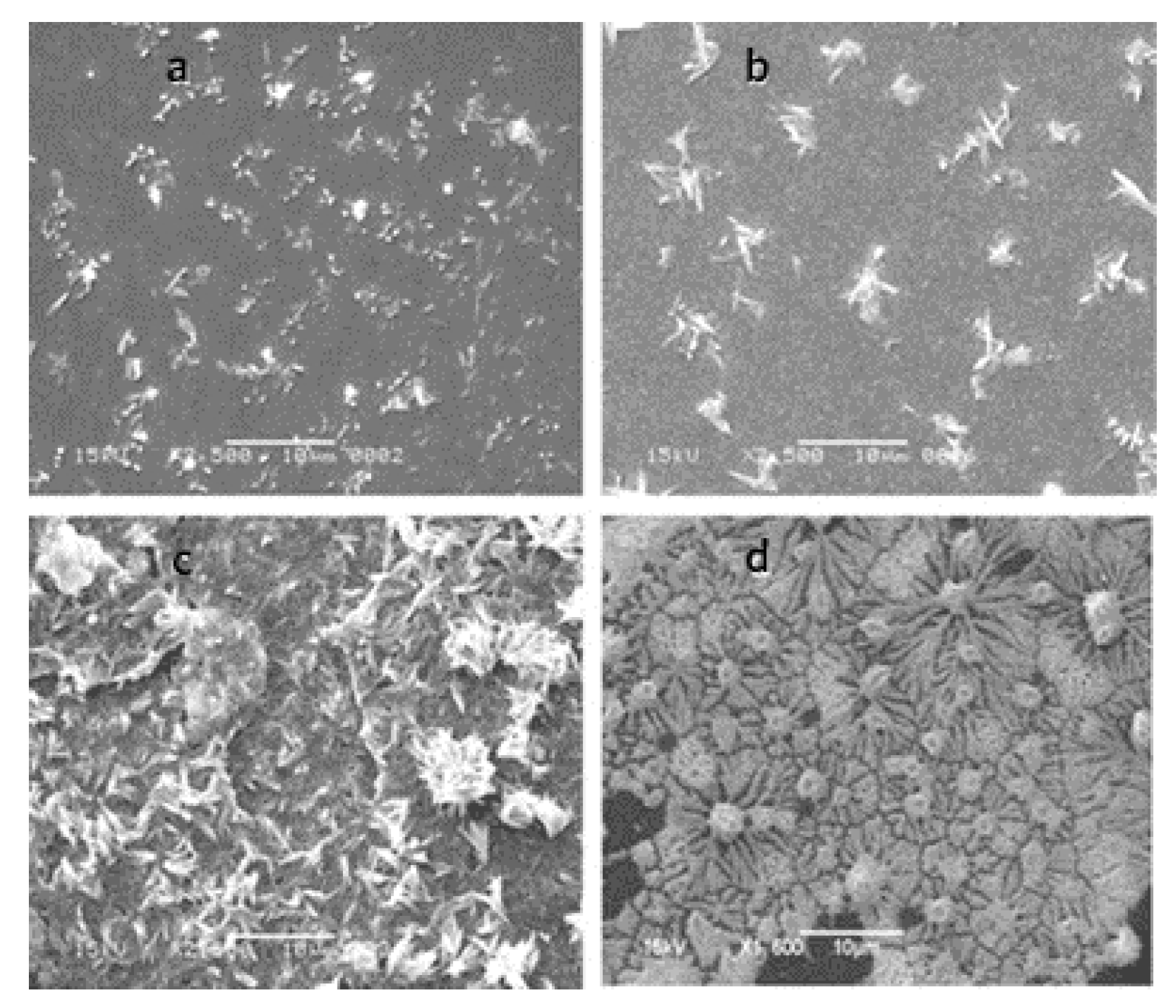 Nanomaterials 12 00781 g002 Nanomaterials 12 00781 g002