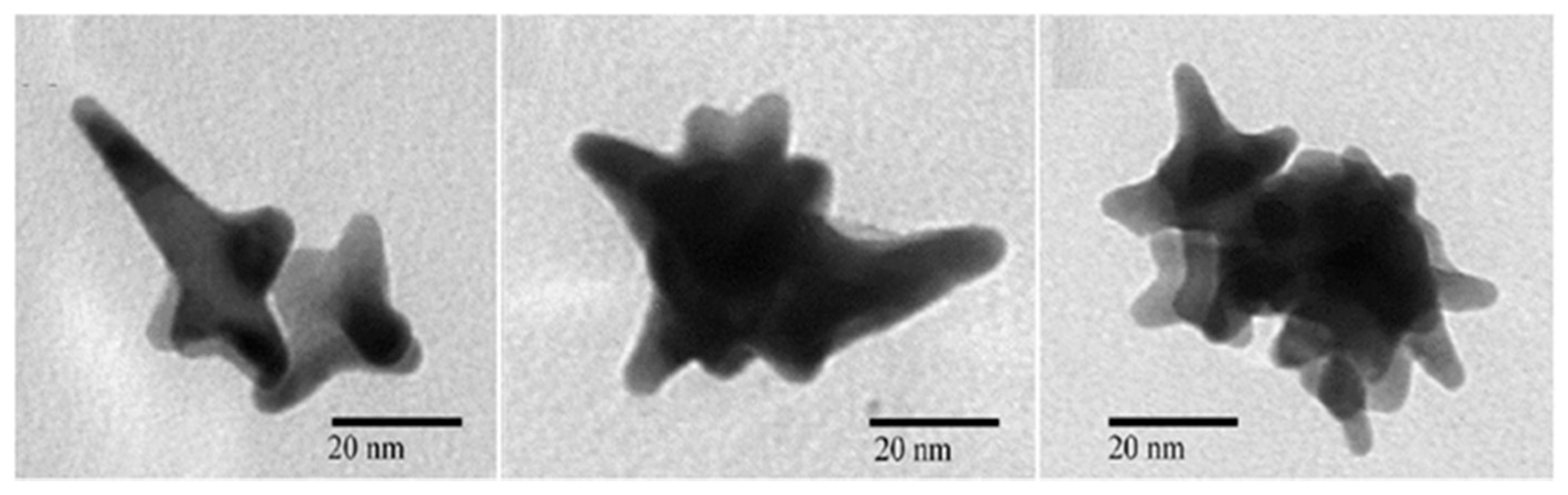 Nanomaterials 12 00781 g005 Nanomaterials 12 00781 g005