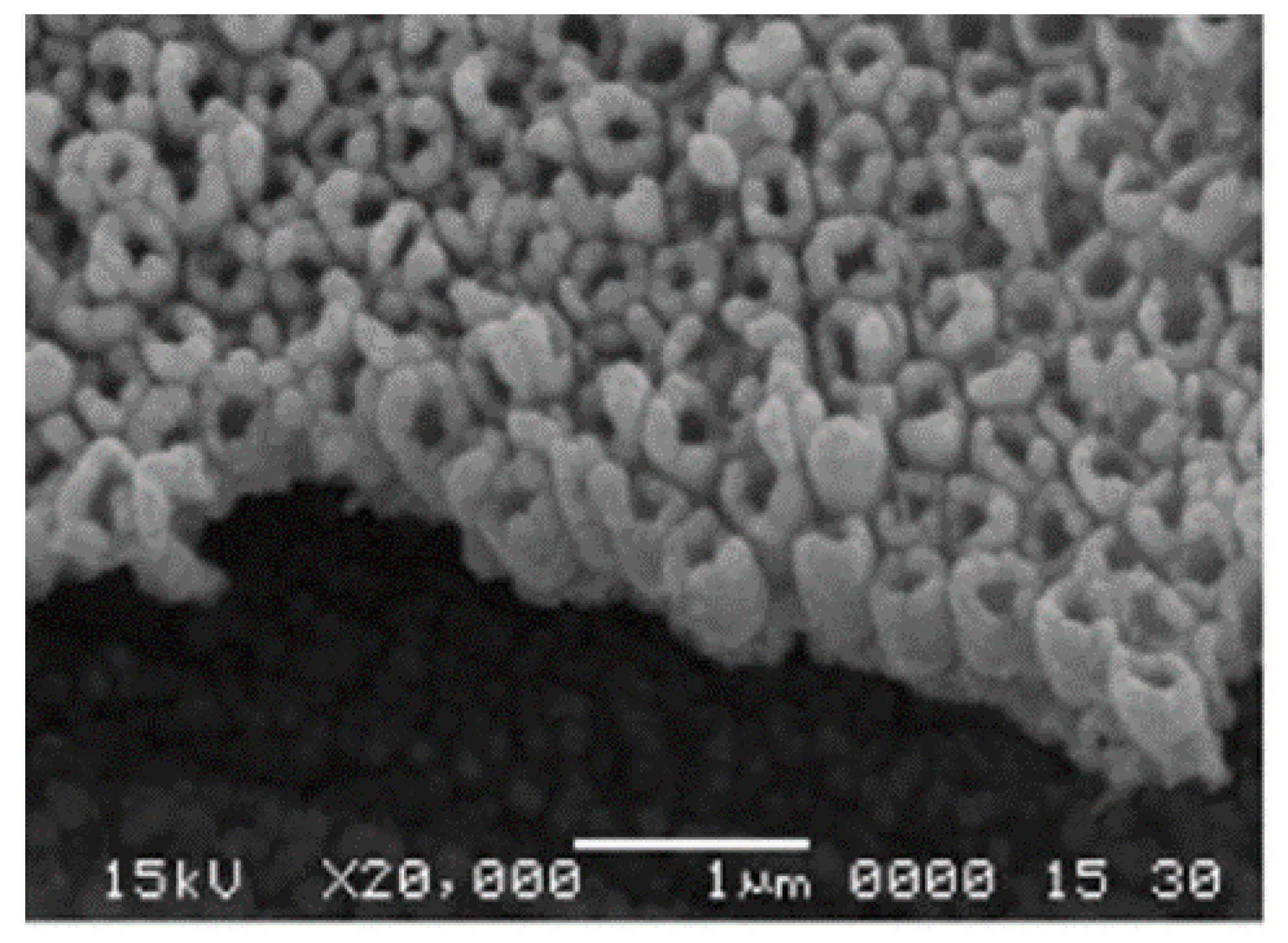 Nanomaterials 12 00781 g009 Nanomaterials 12 00781 g009