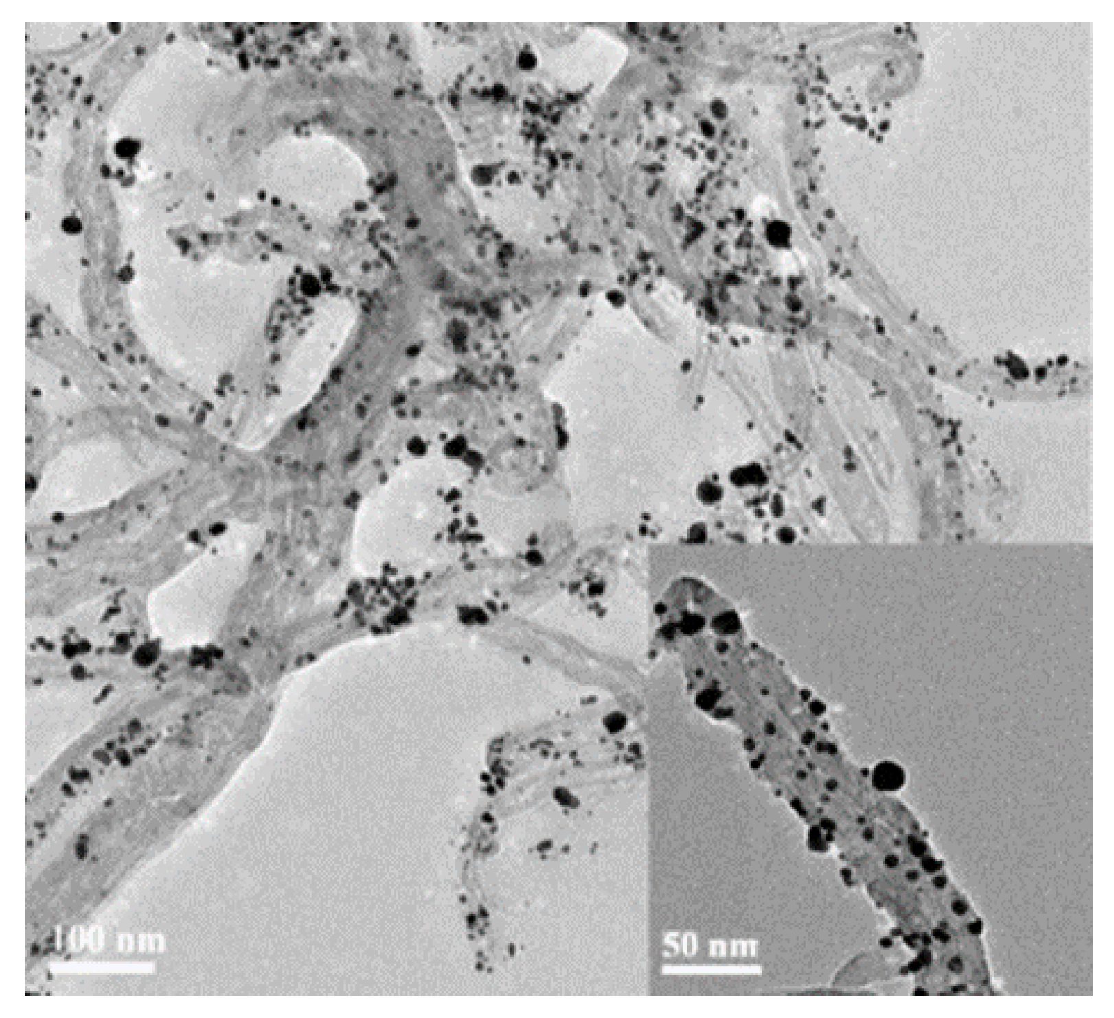 Nanomaterials 12 00781 g023 Nanomaterials 12 00781 g023