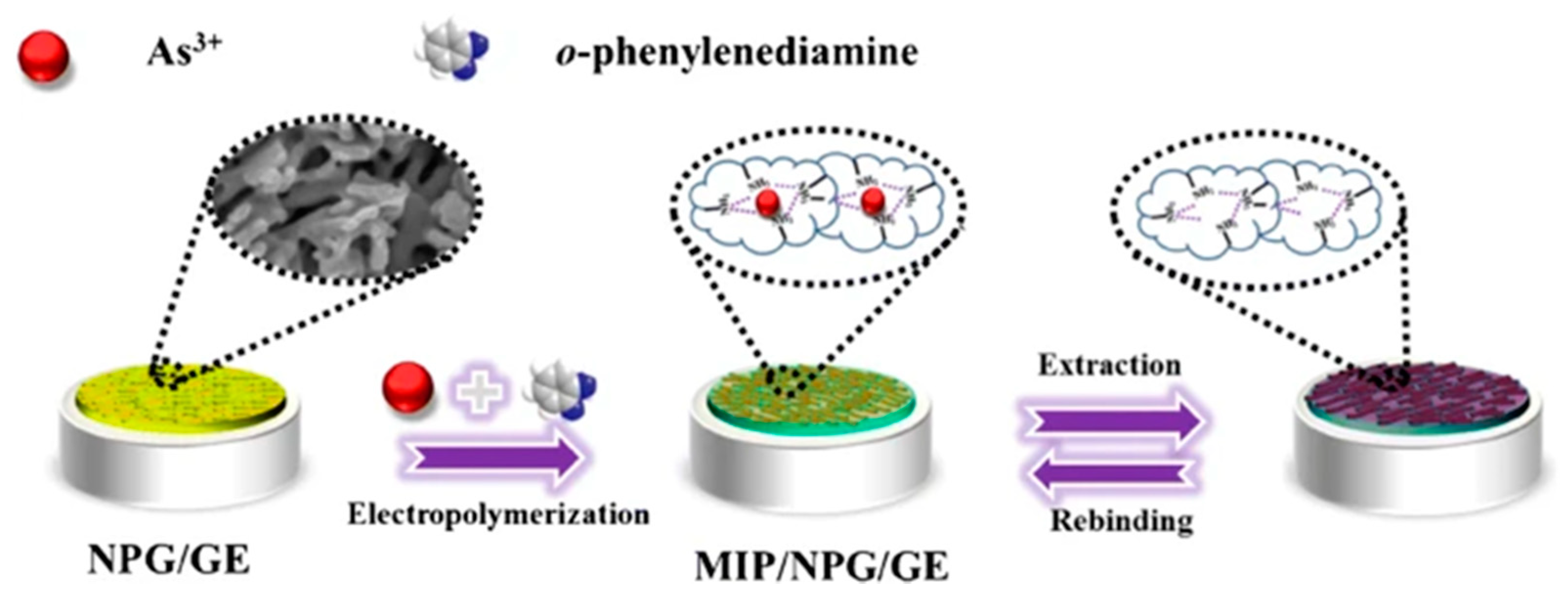 Nanomaterials 12 00781 g027 Nanomaterials 12 00781 g027
