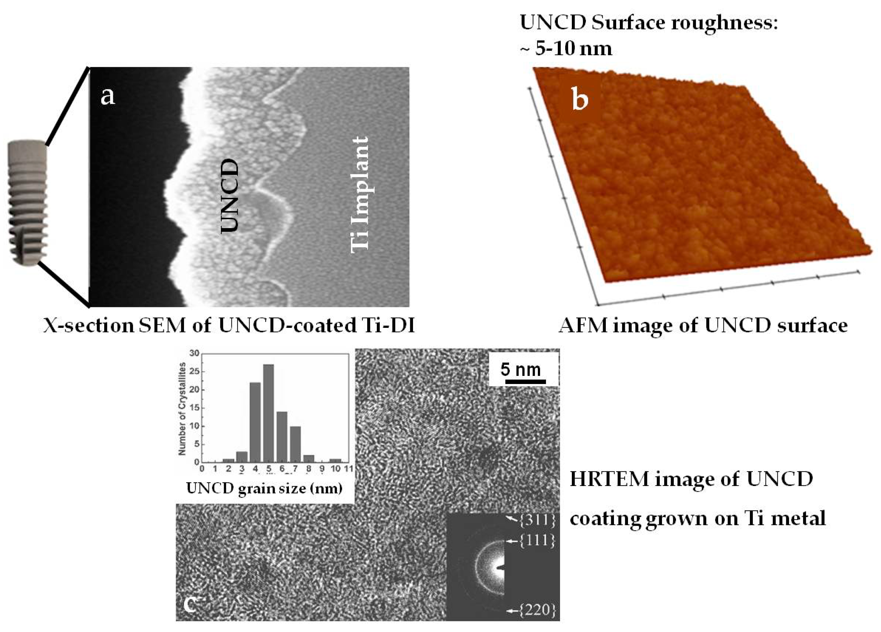 Nanomaterials 12 00782 g002