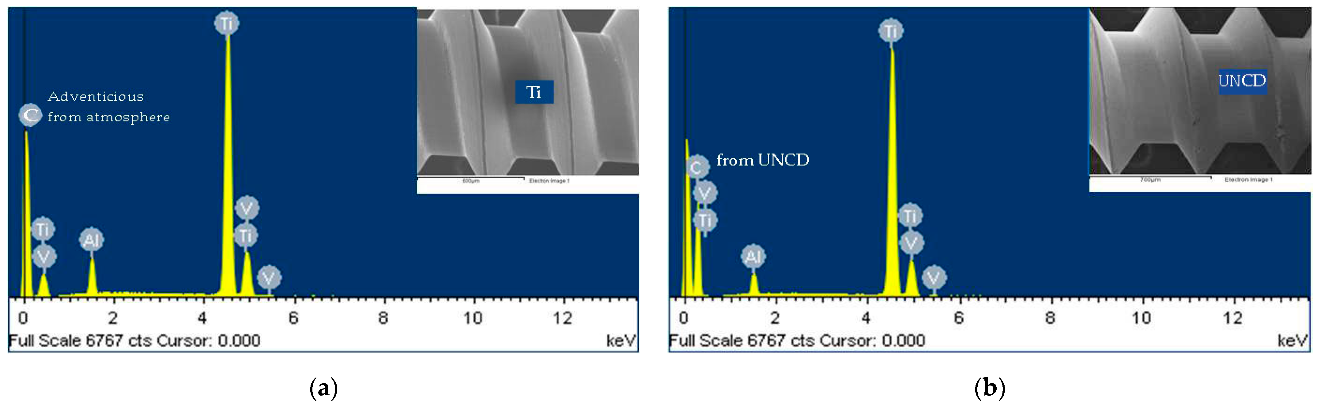 Nanomaterials 12 00782 g005