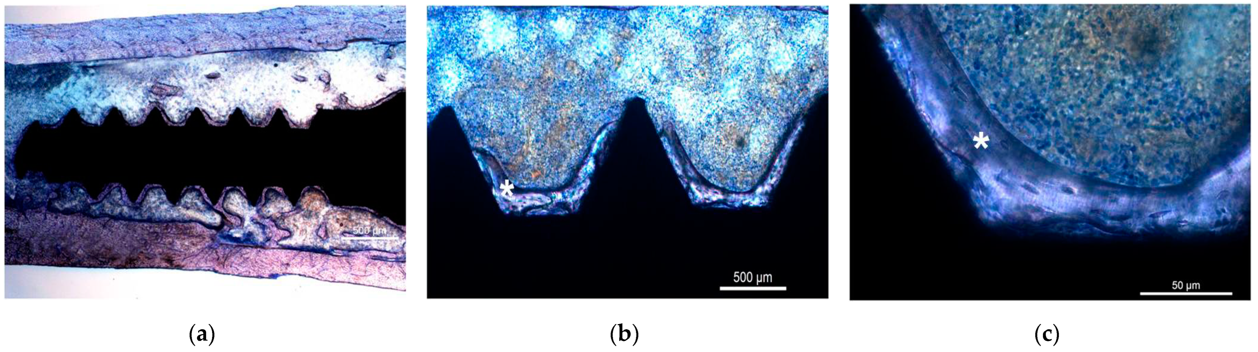 Nanomaterials 12 00782 g008