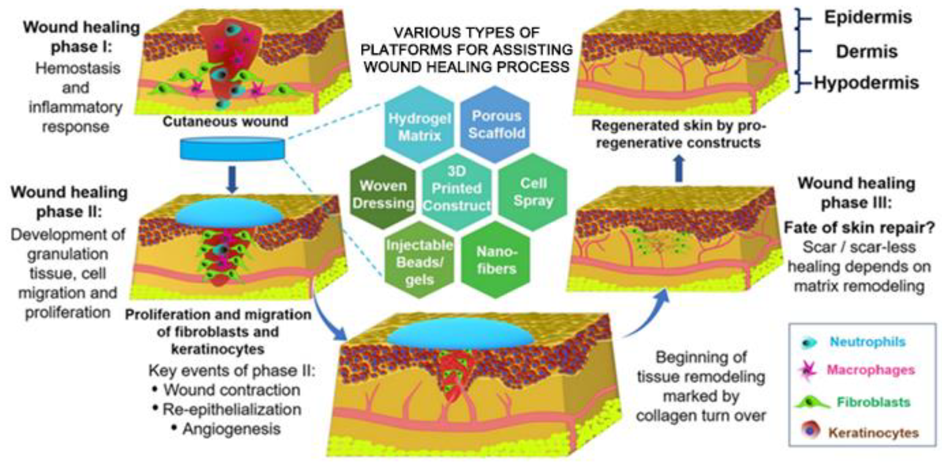 Nanomaterials 12 00784 g002