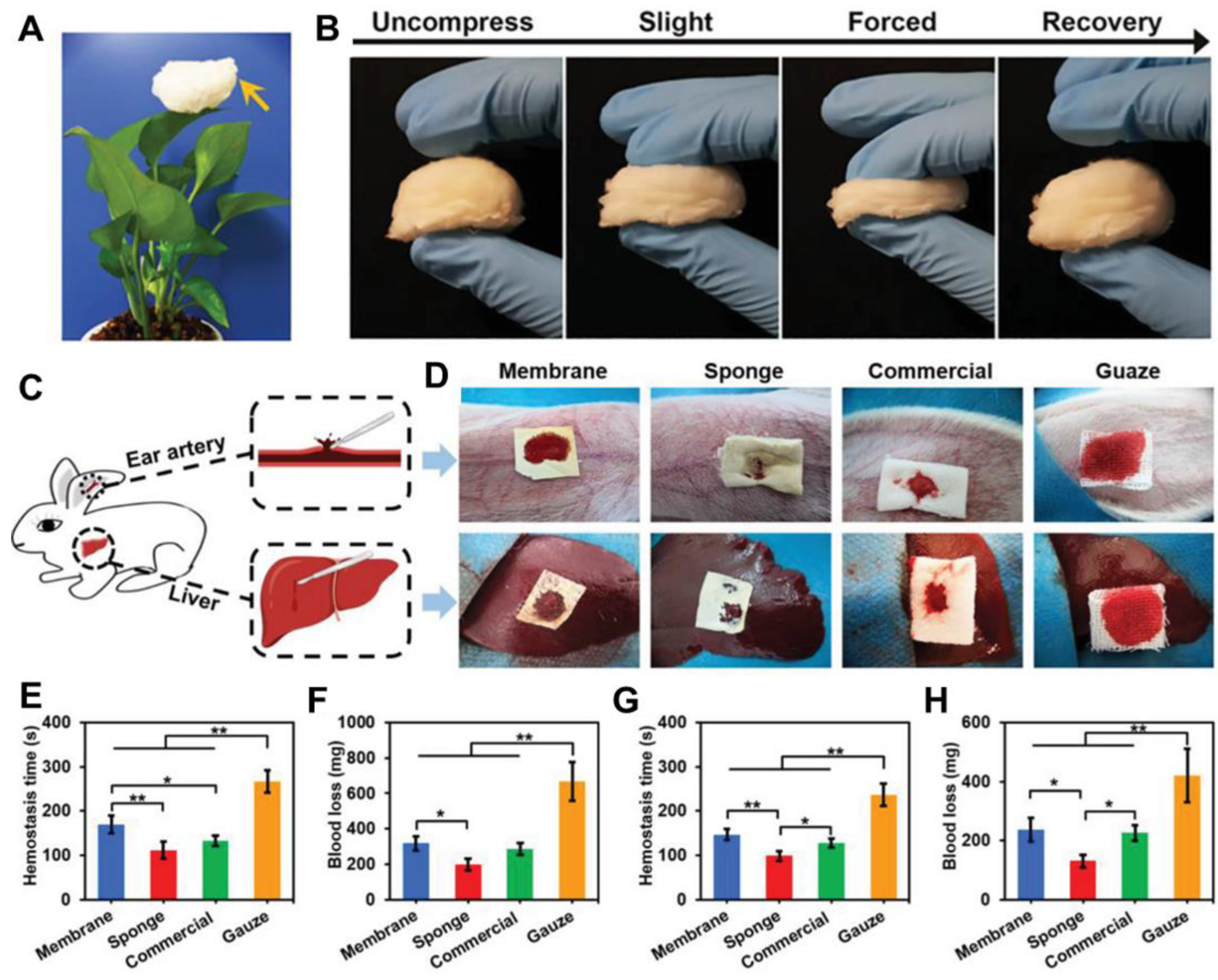 Nanomaterials 12 00784 g006