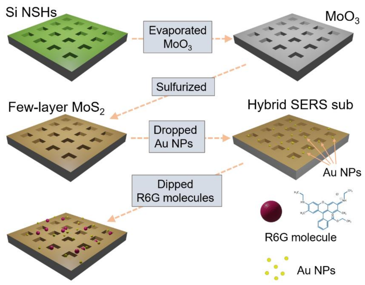 Nanomaterials 12 00786 g001