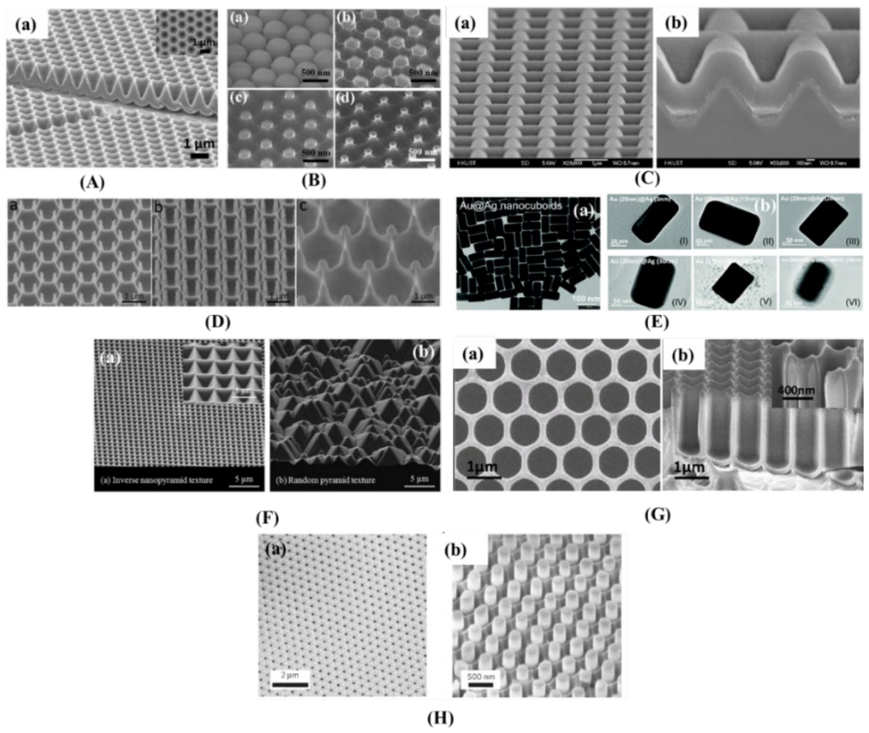Nanomaterials 12 00788 g007