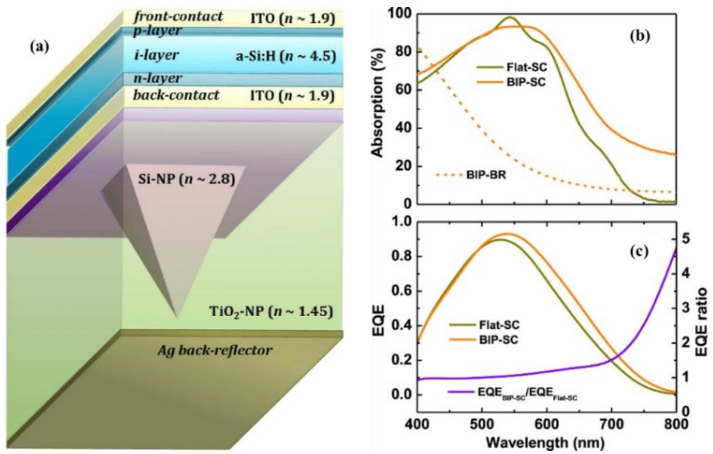 Nanomaterials 12 00788 g011