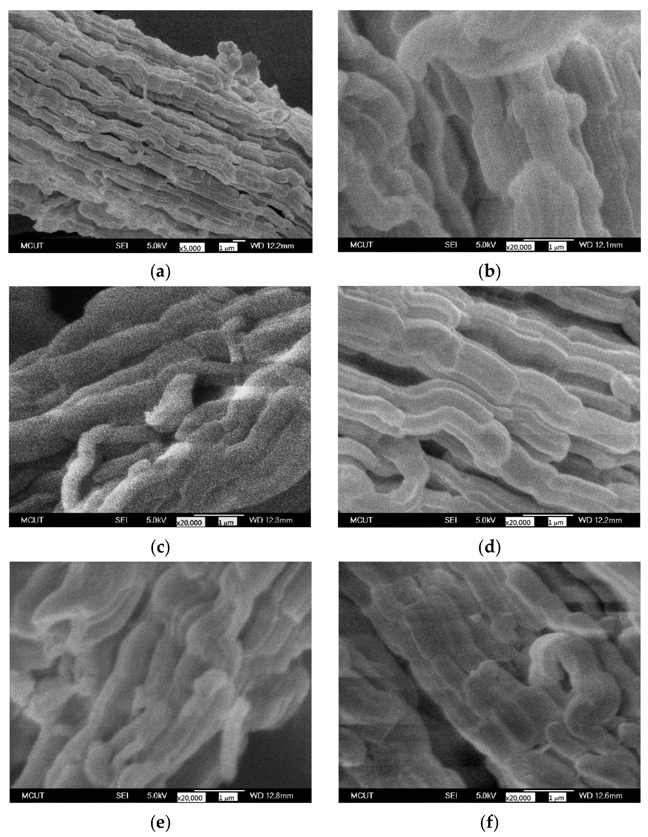 Nanomaterials 12 00791 g006